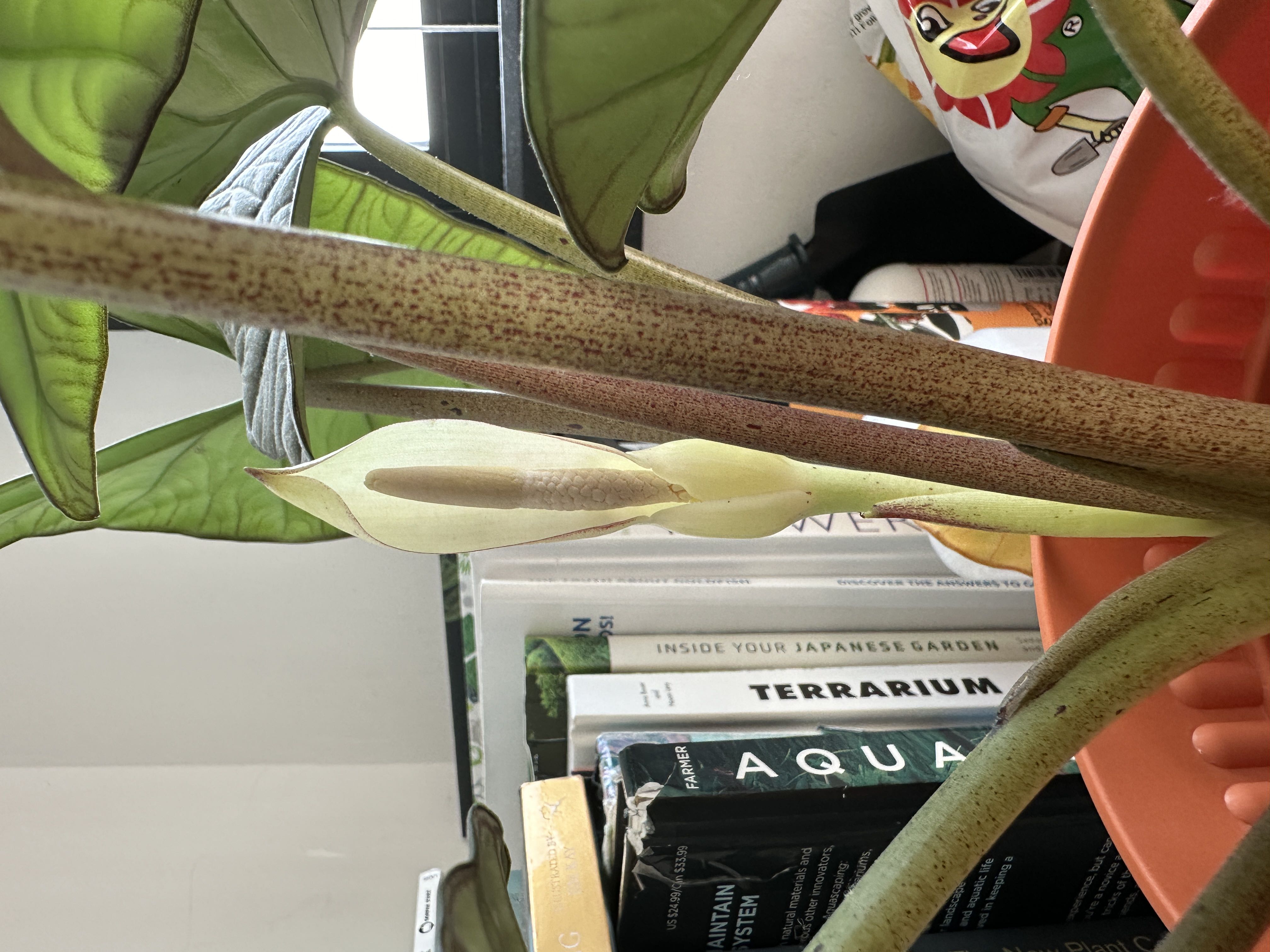 Photo from the post