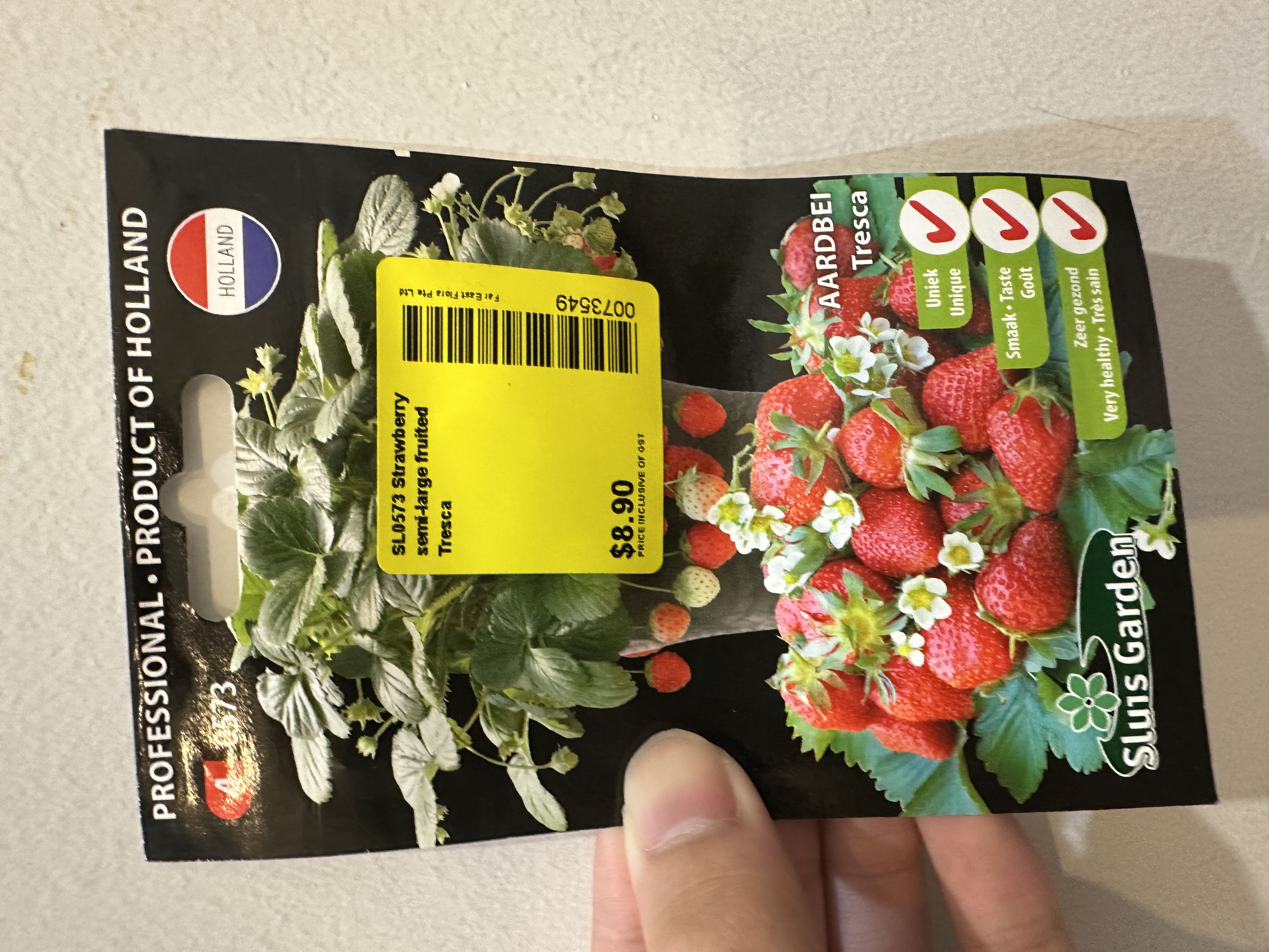 Photo from the post