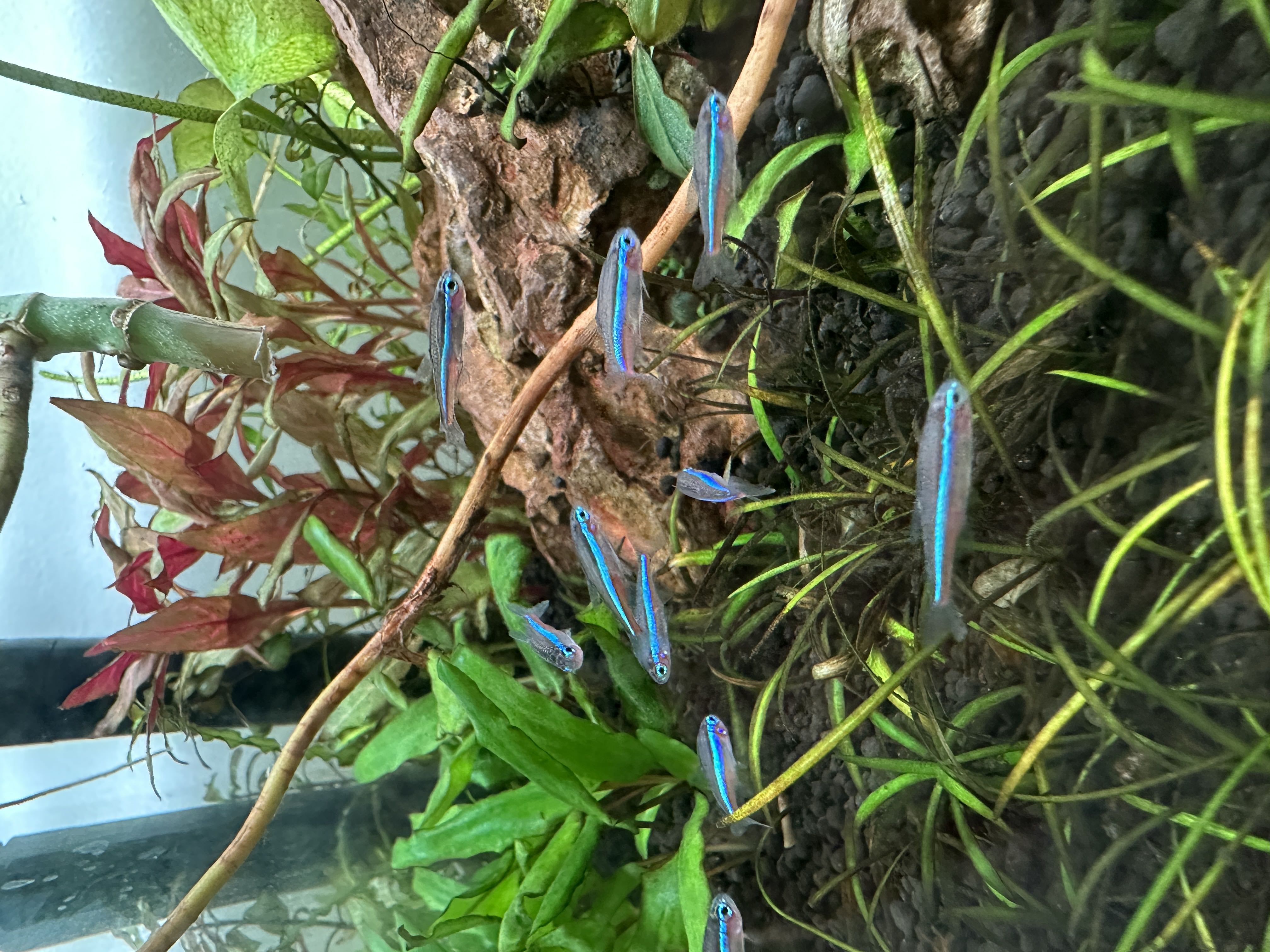 Photo from the post