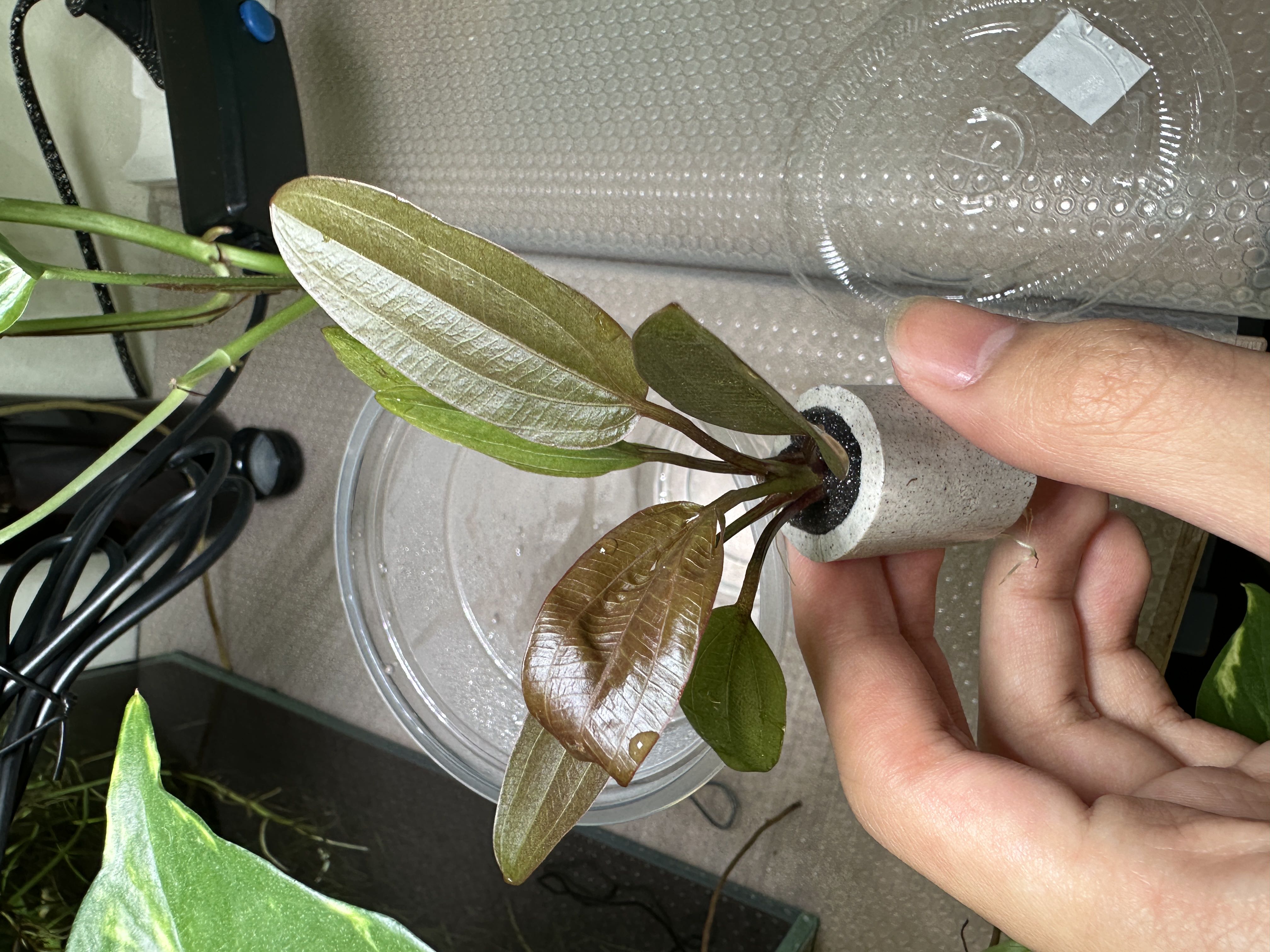 Photo from the post