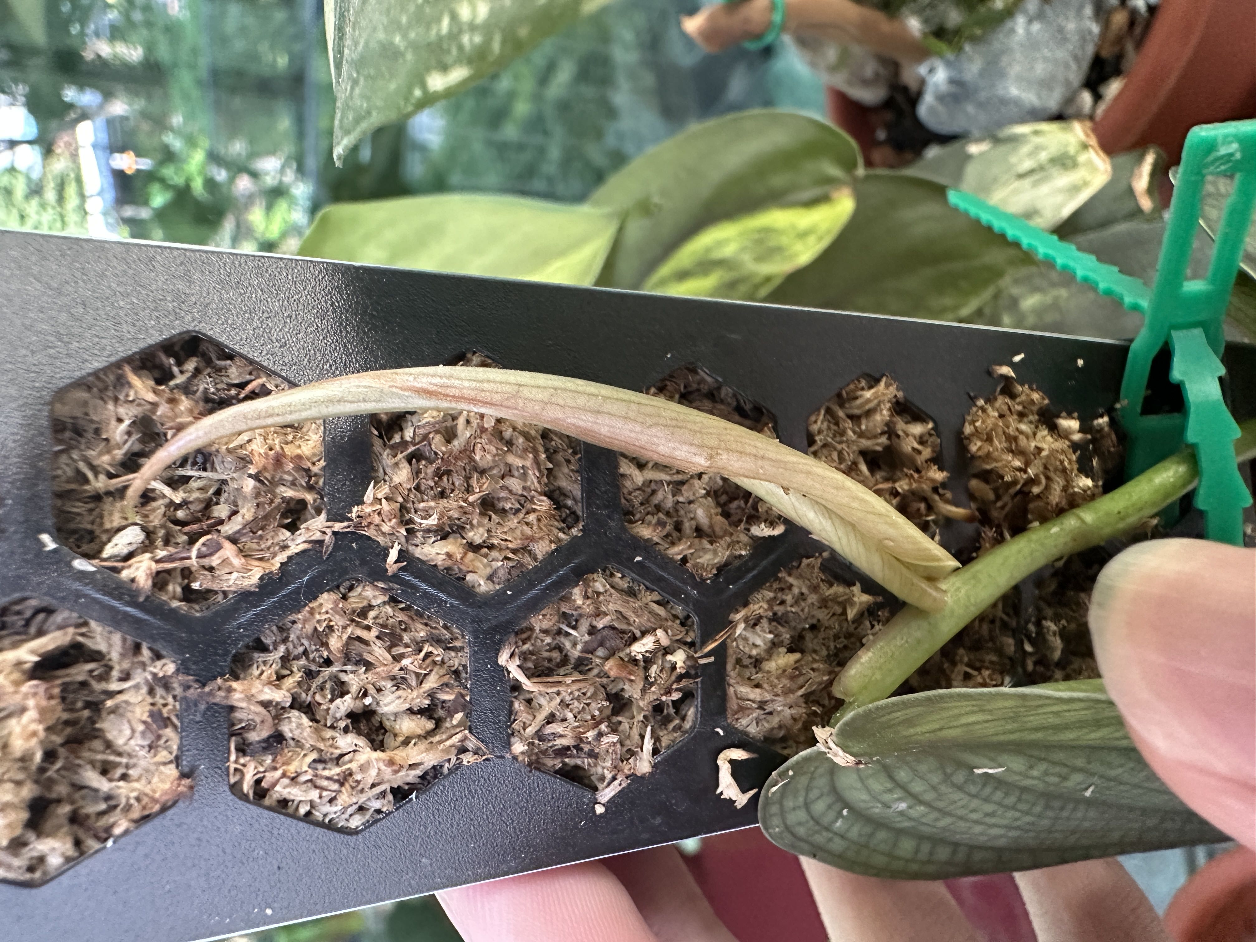 Photo from the post