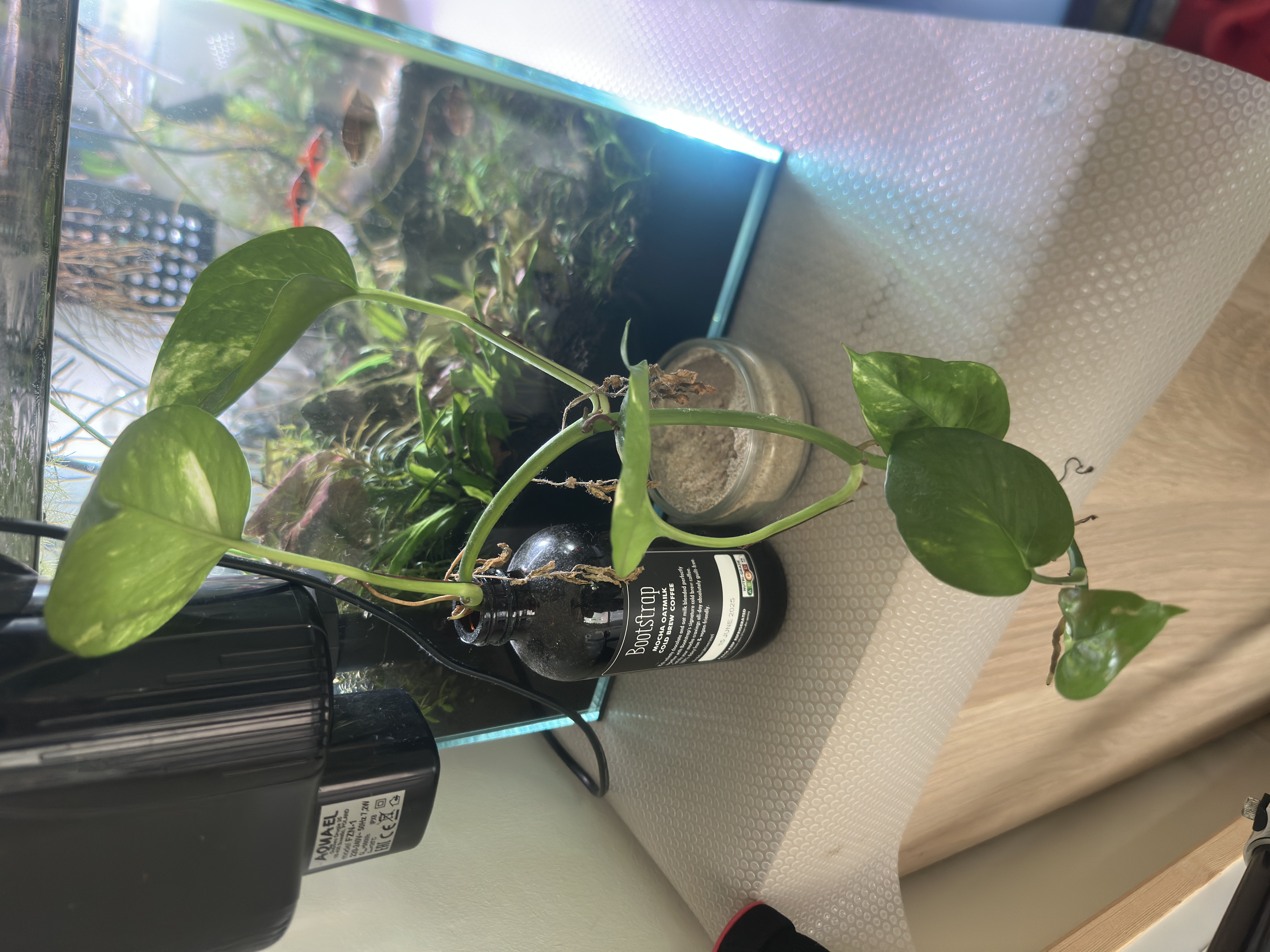 Photo from the post