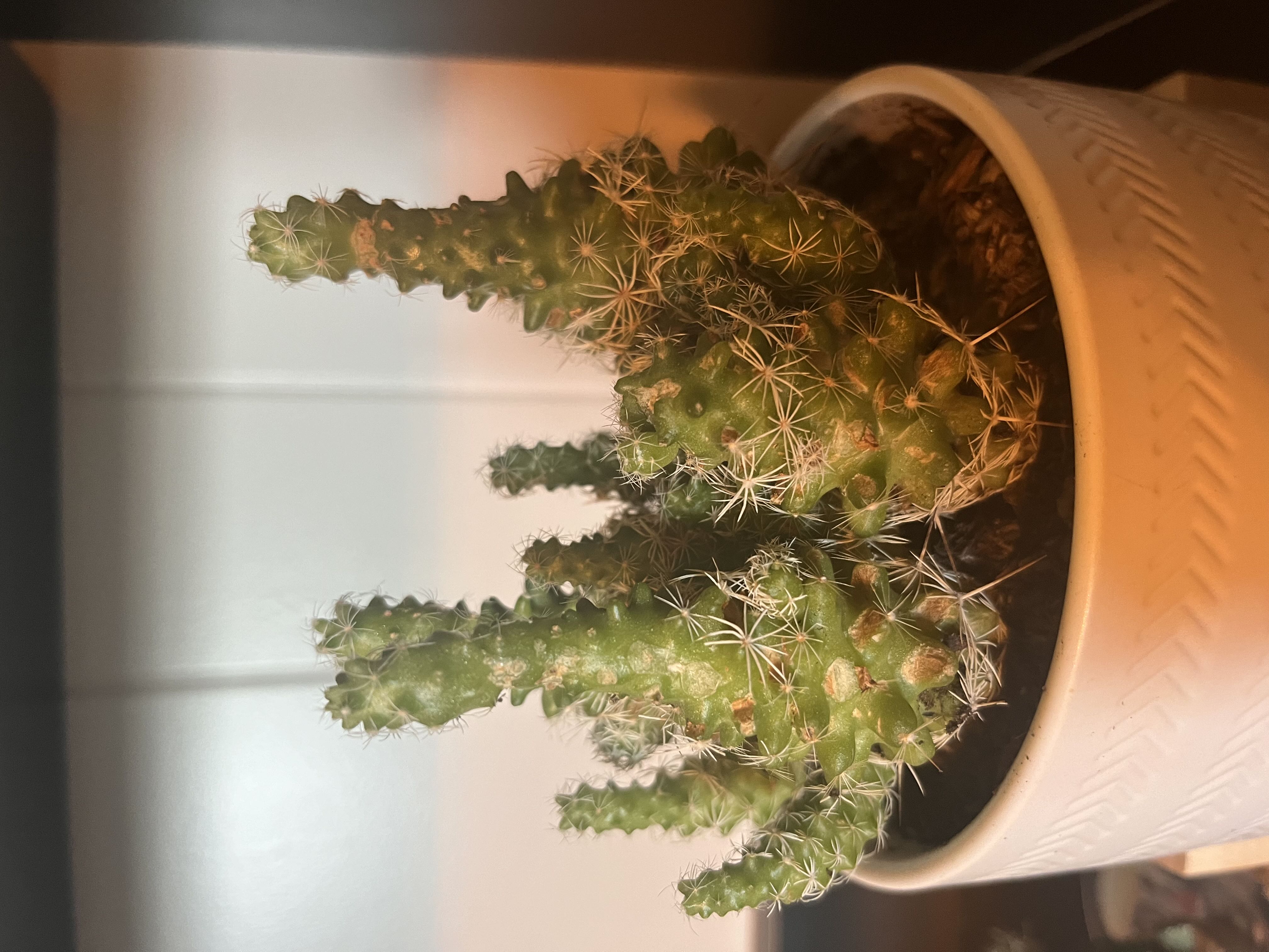 Photo from the post