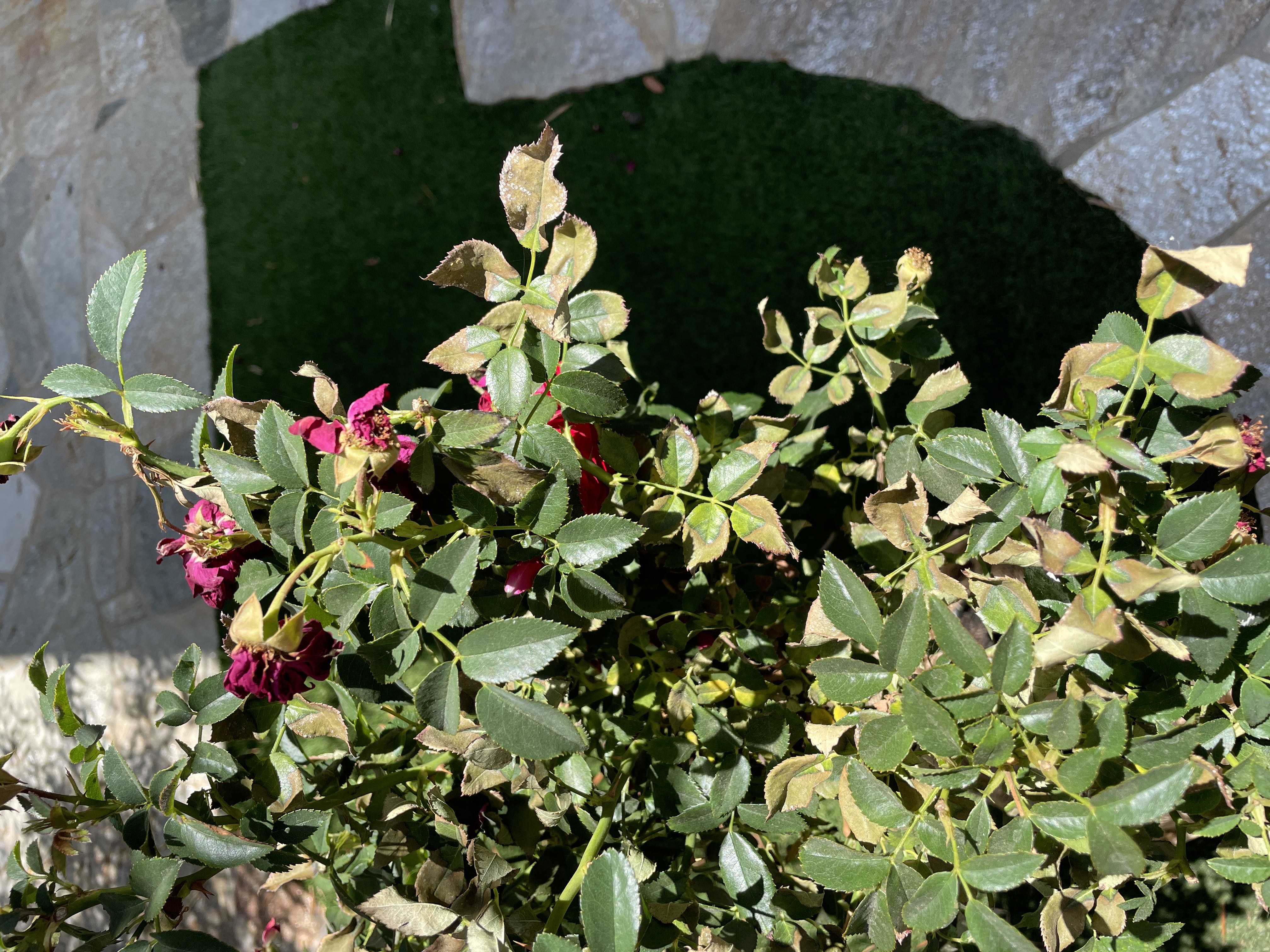 Photo from the post