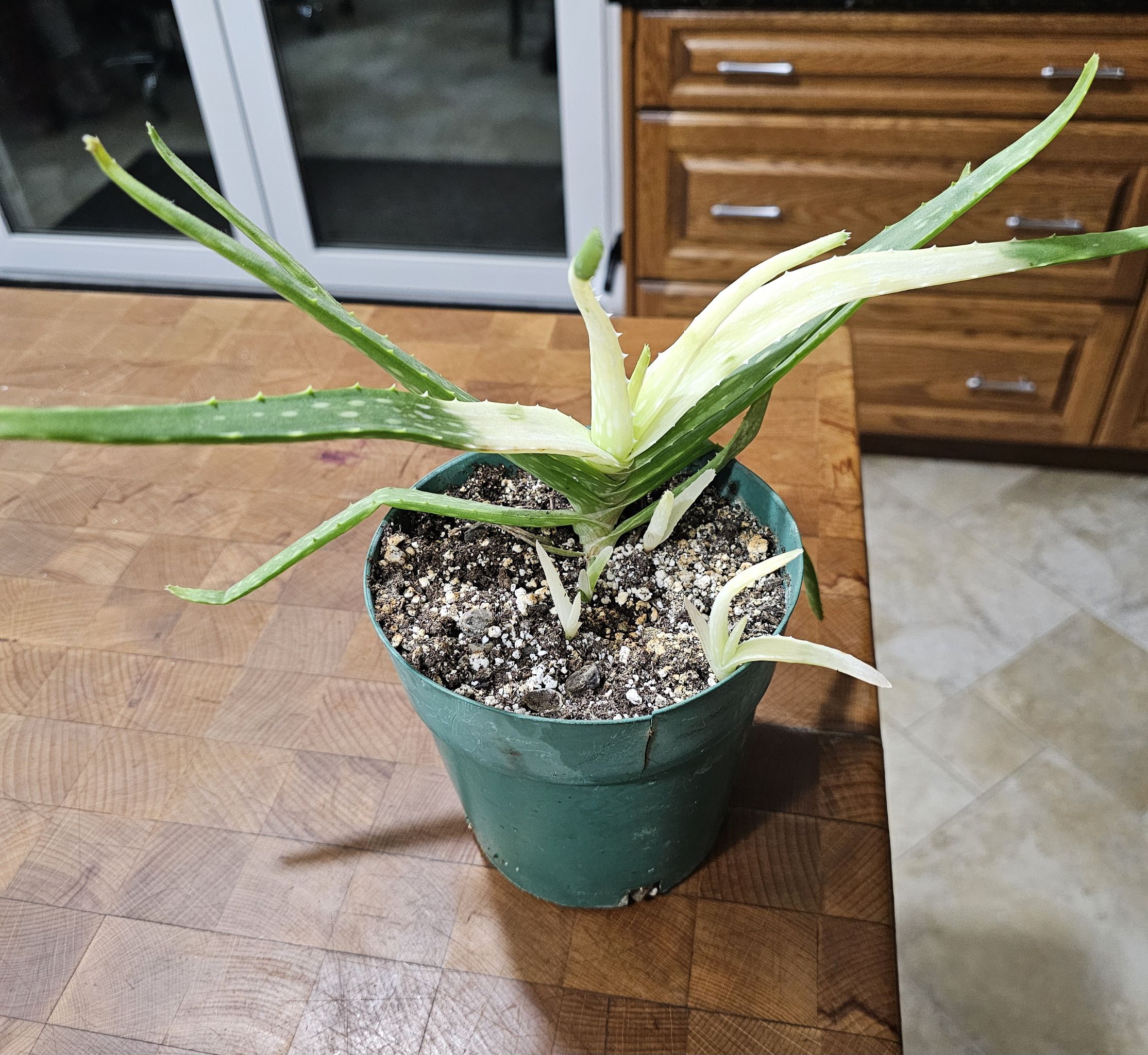 Photo from the post