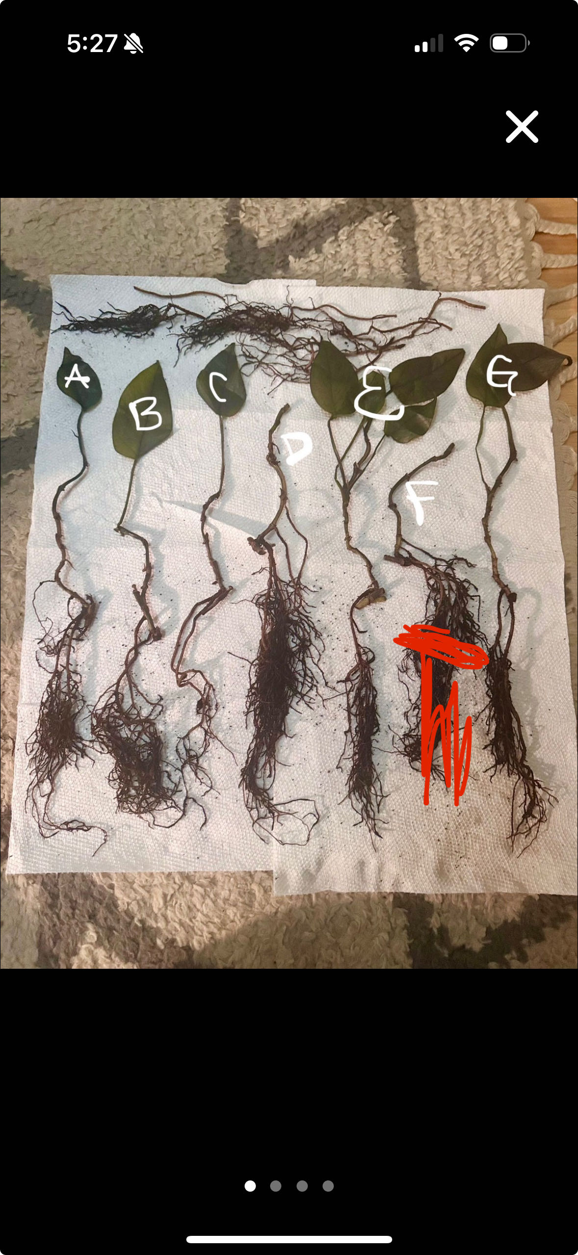 Photo from the post