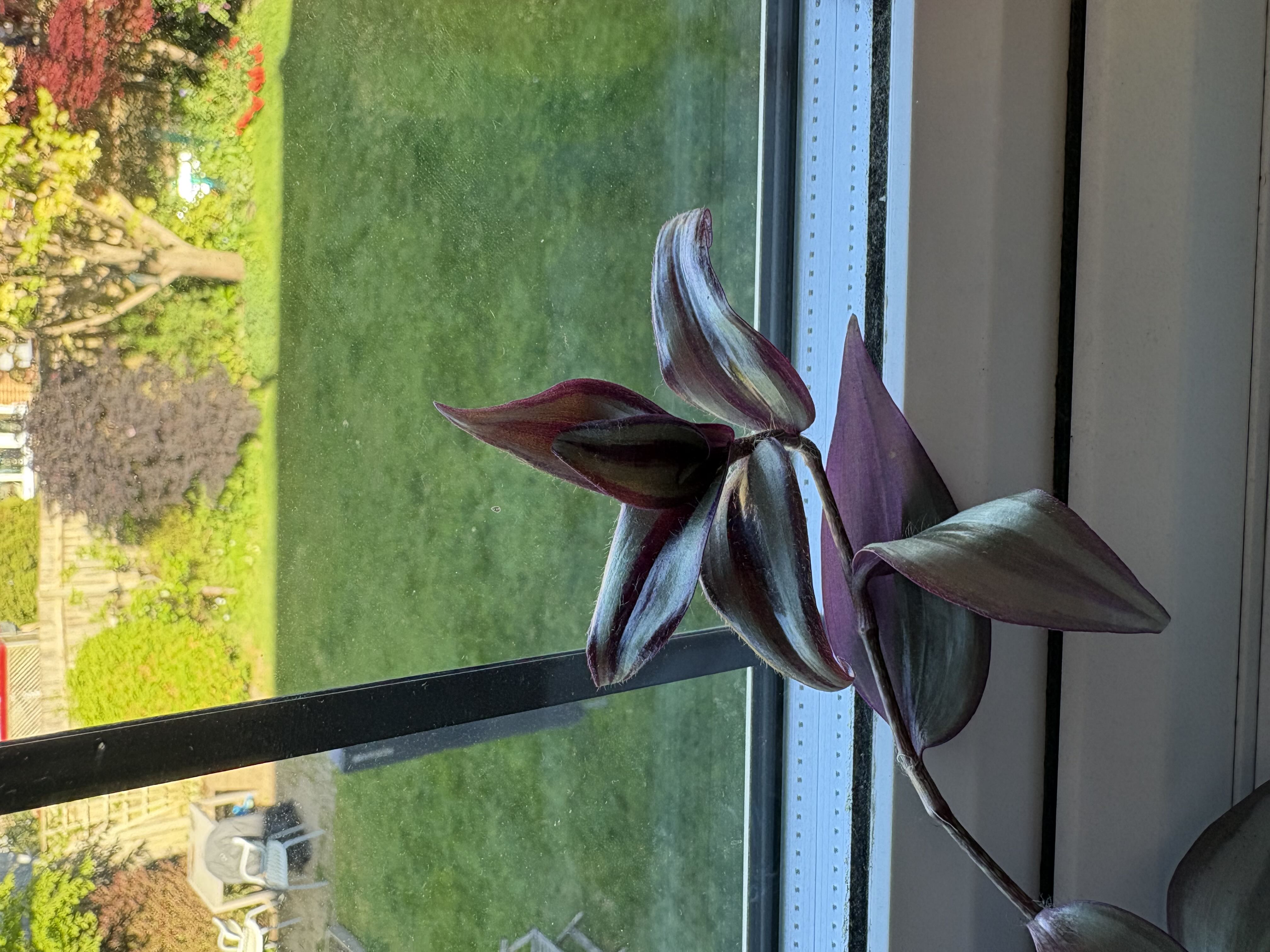 Photo from the post