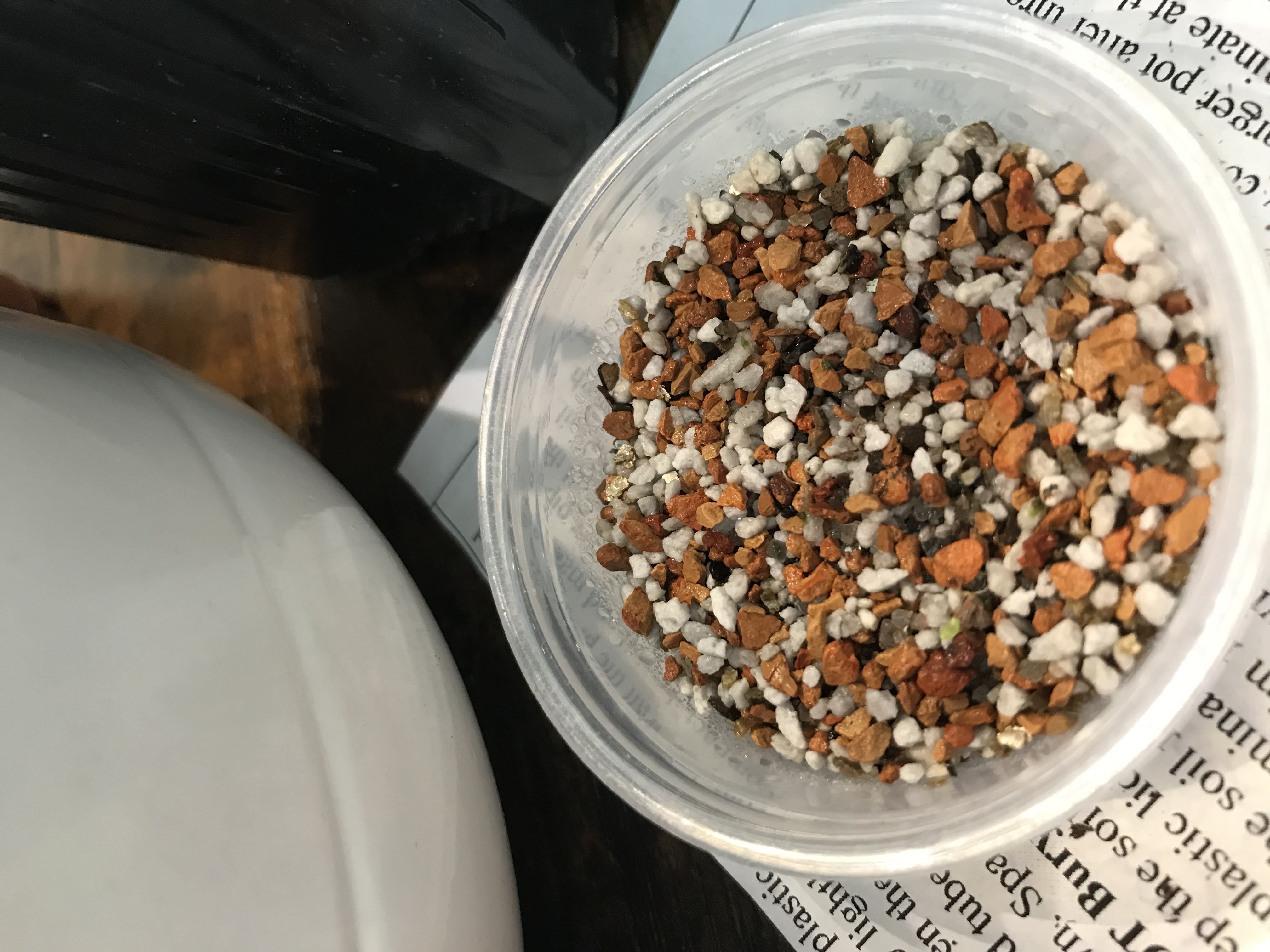 Photo from the post