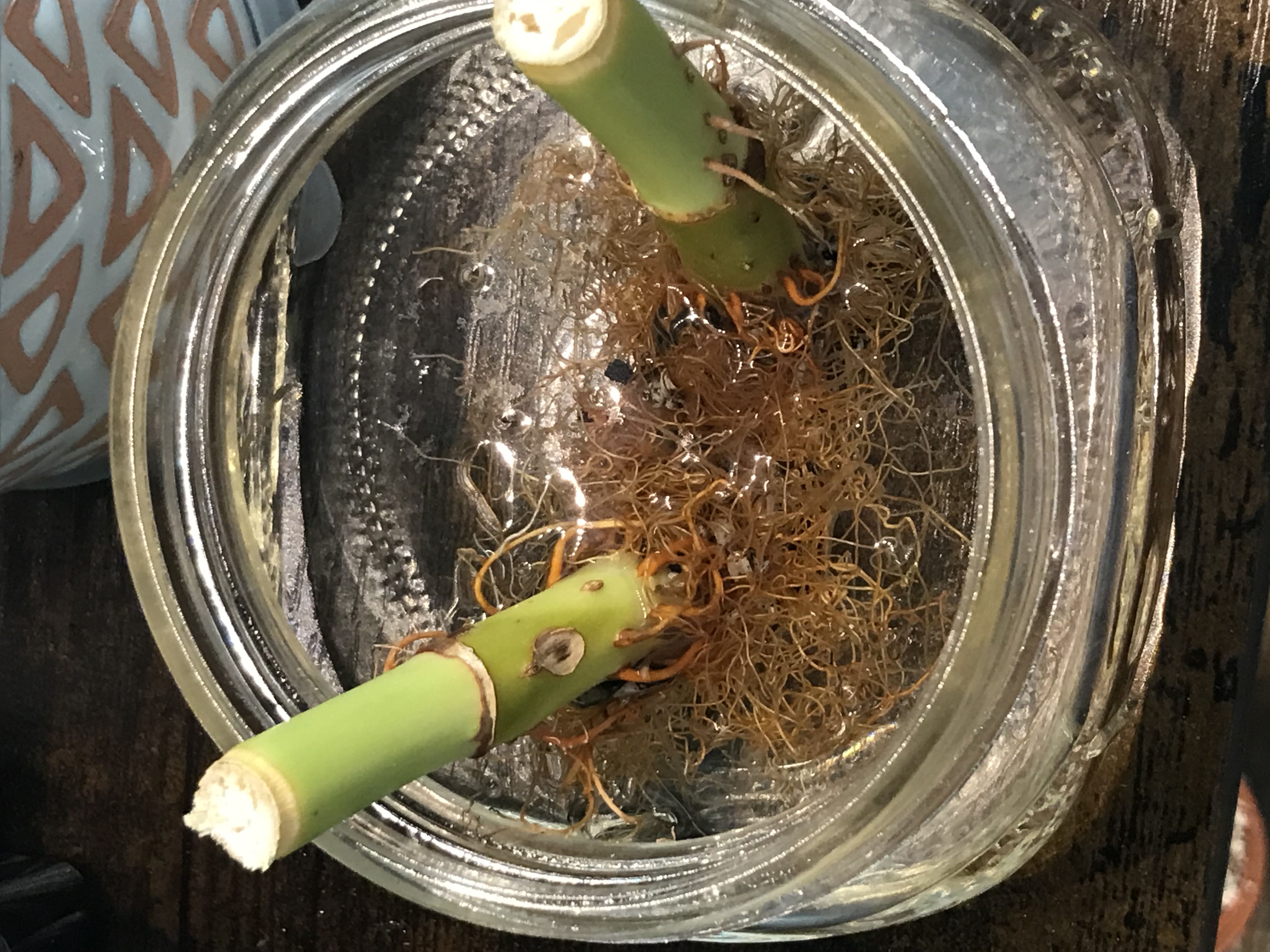 Photo from the post