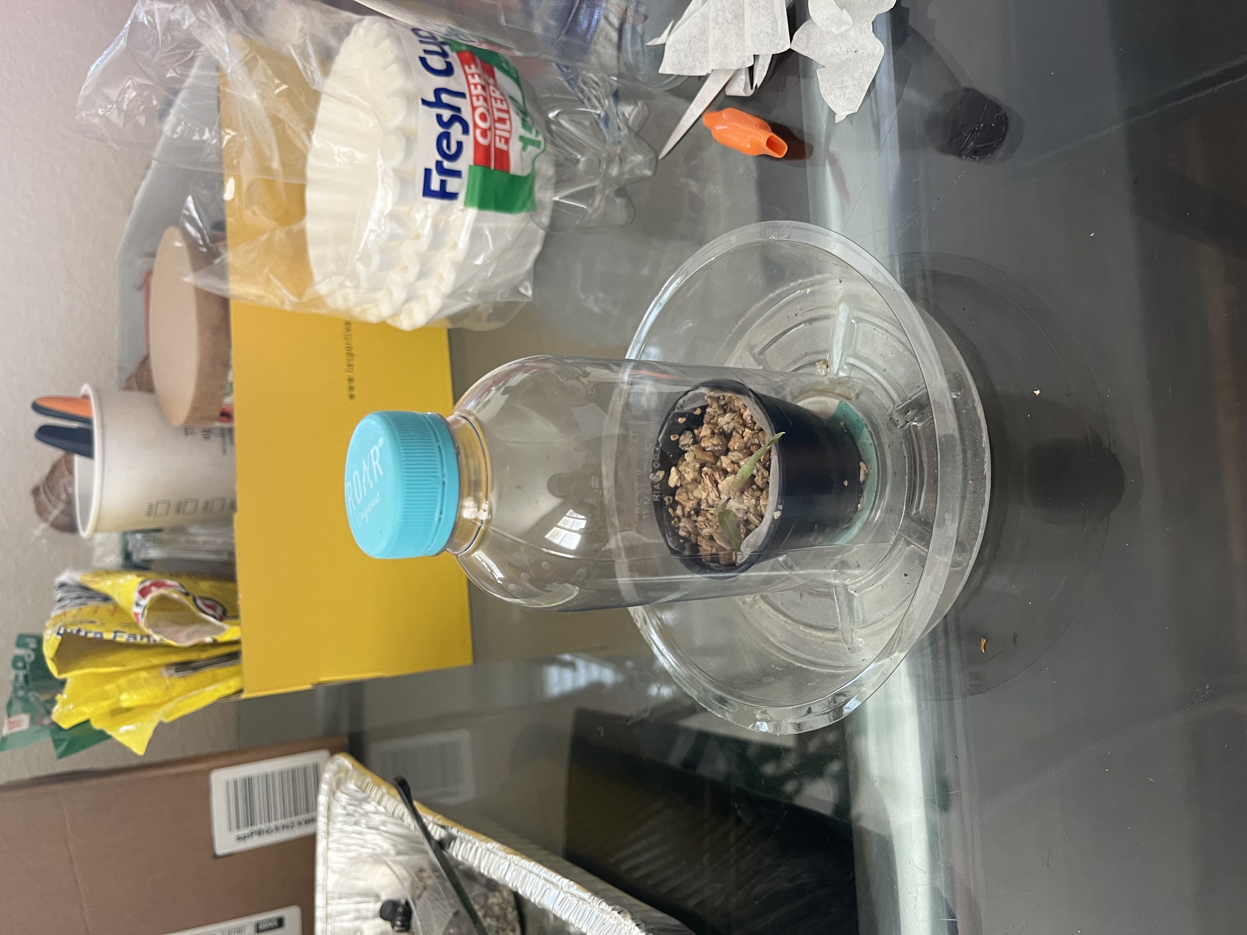 Photo from the post