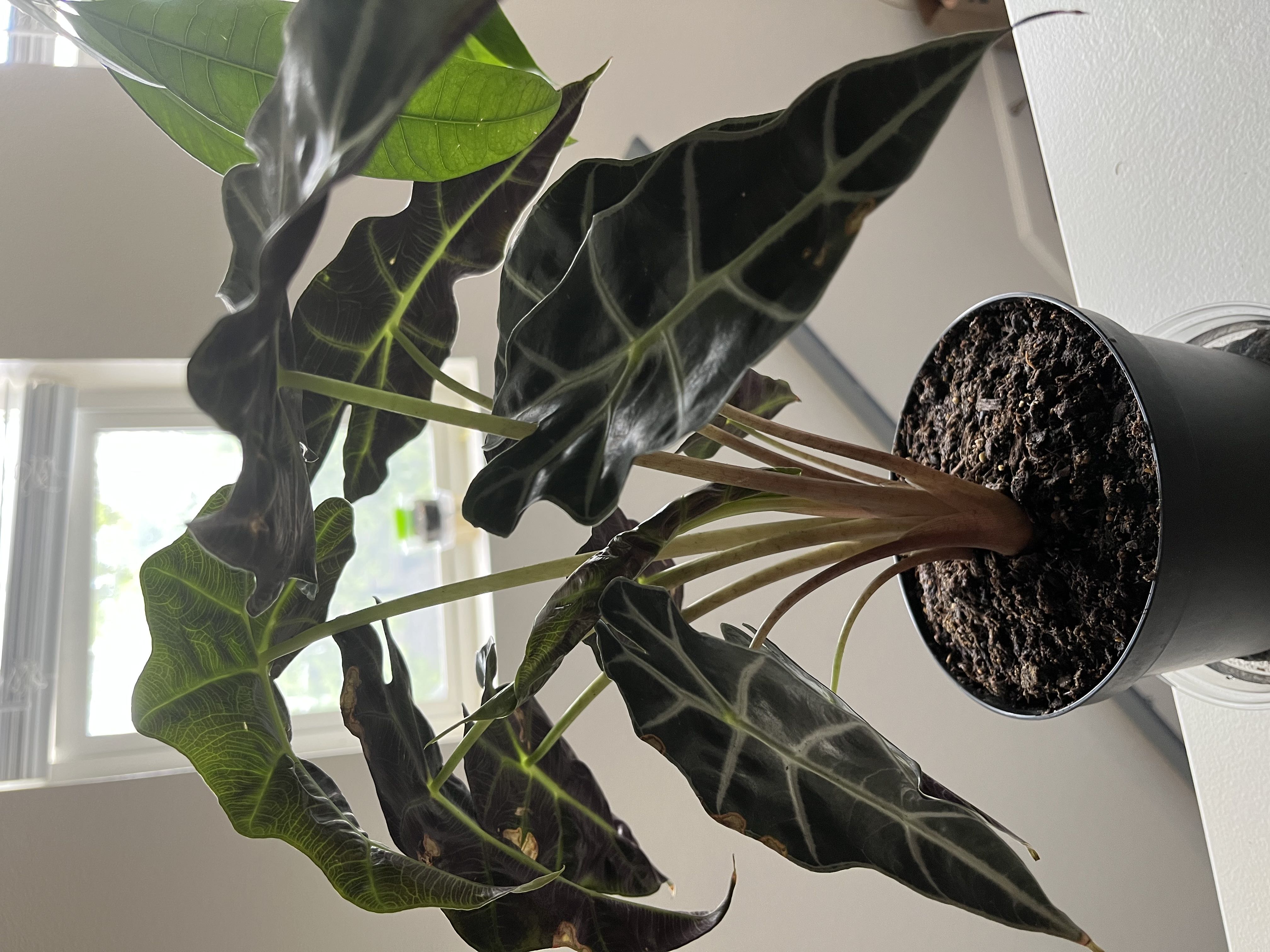 Photo from the post