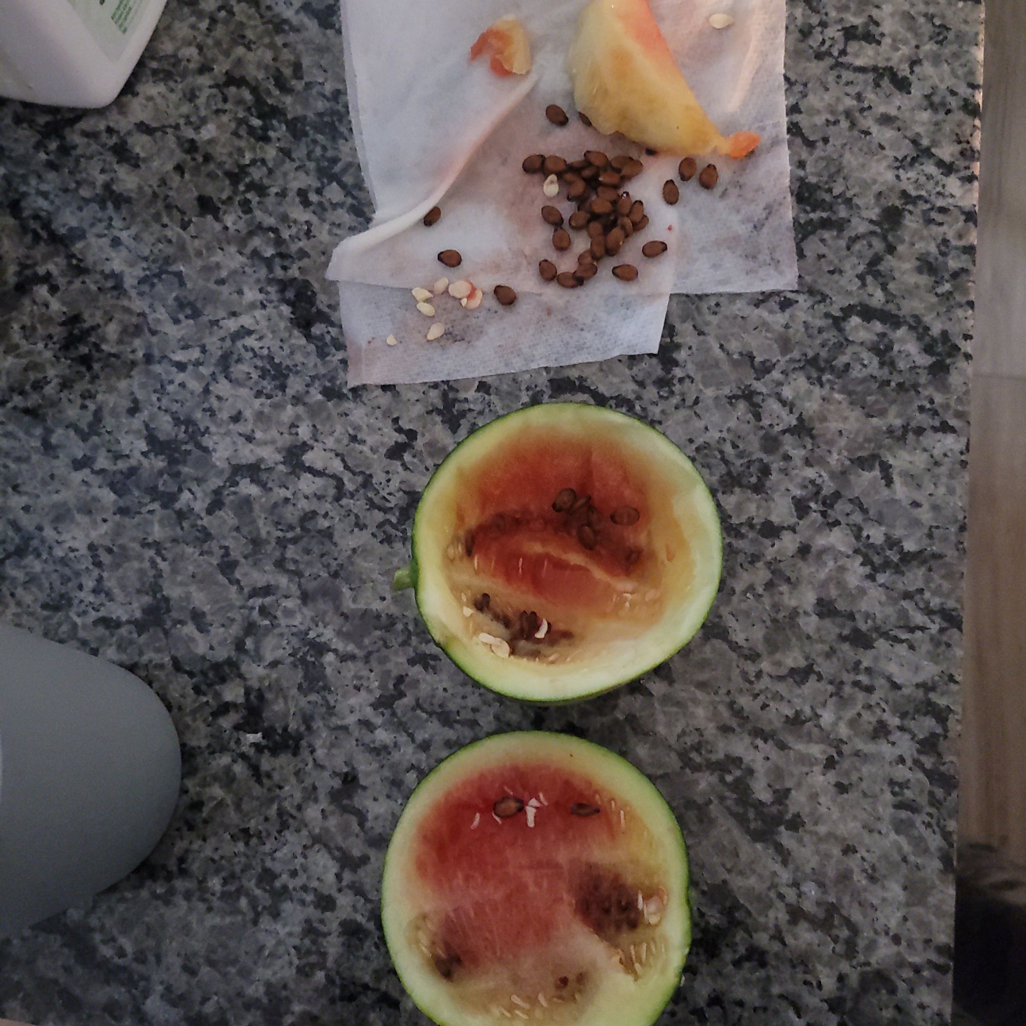 Watermelon