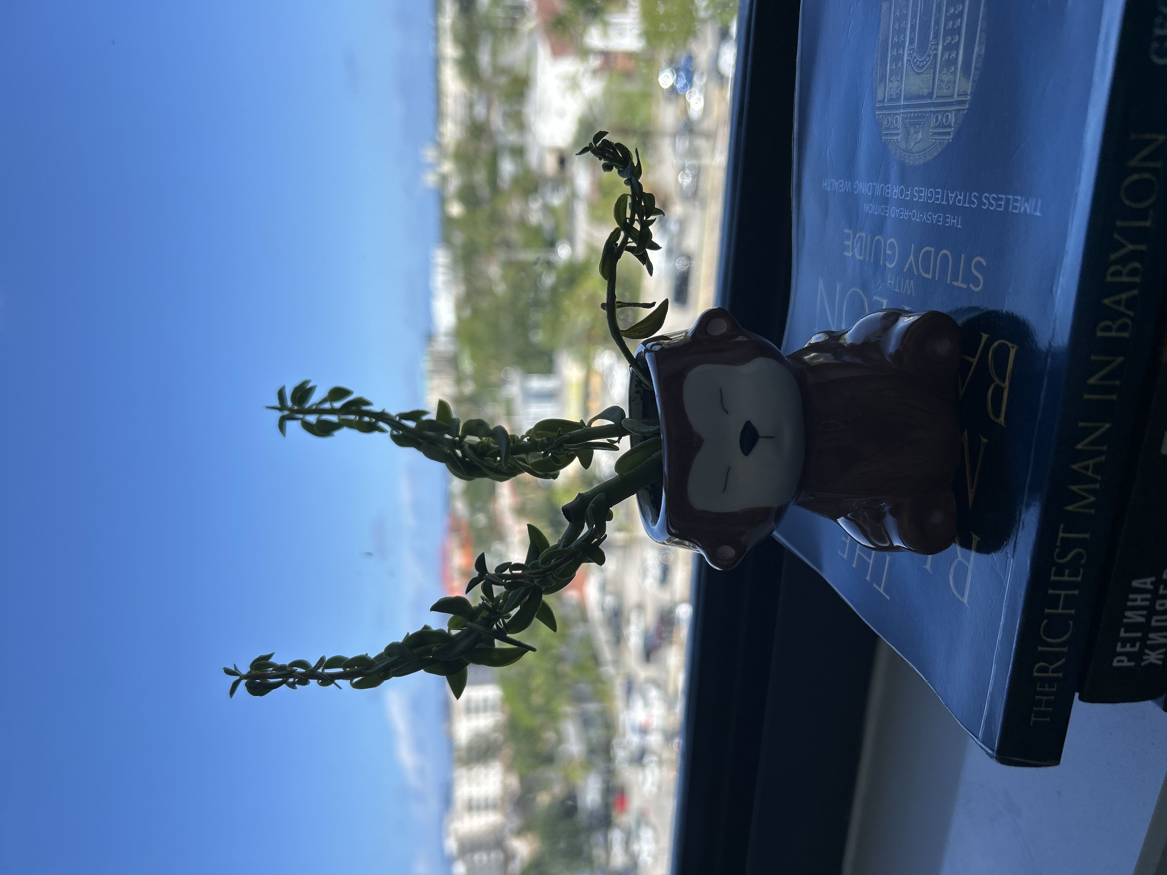 Photo from the post