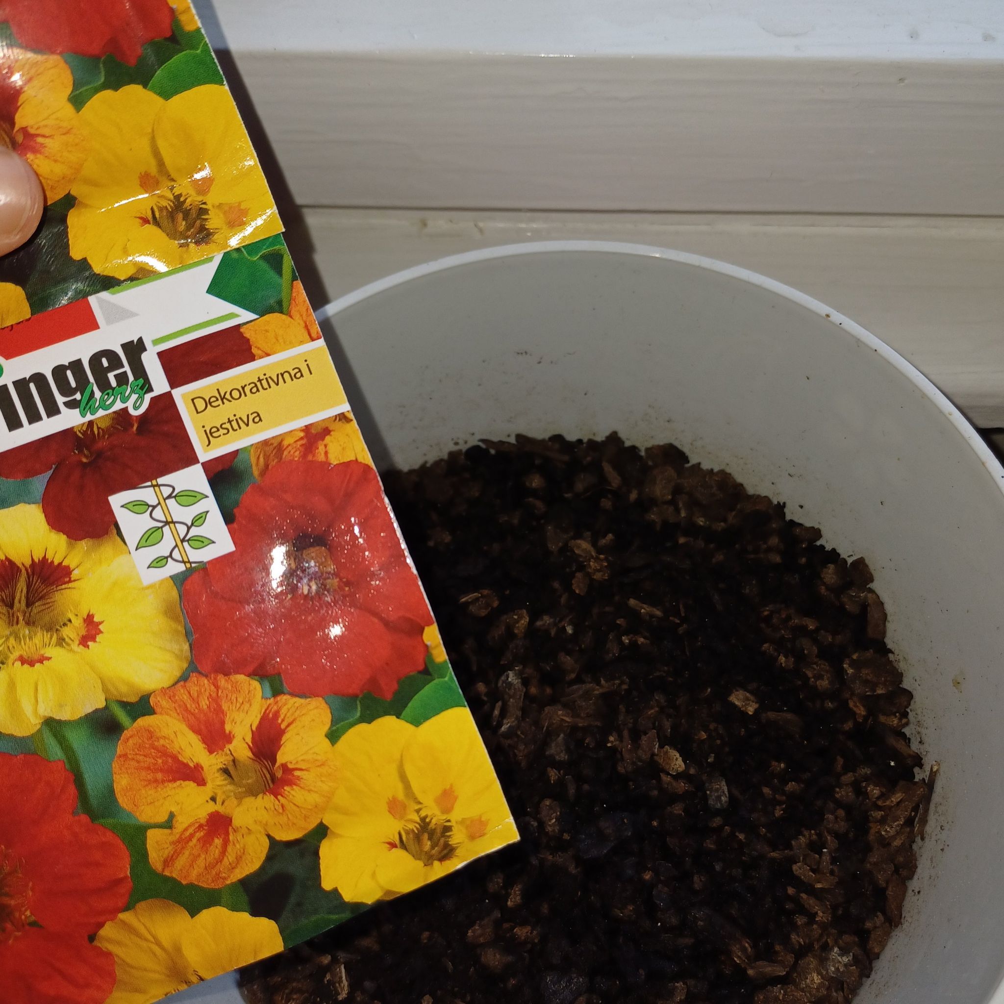 Photo of the plant species Troika Red Tropaeolum by @FabTorchcactus named Dragoljub on Greg, the plant care app