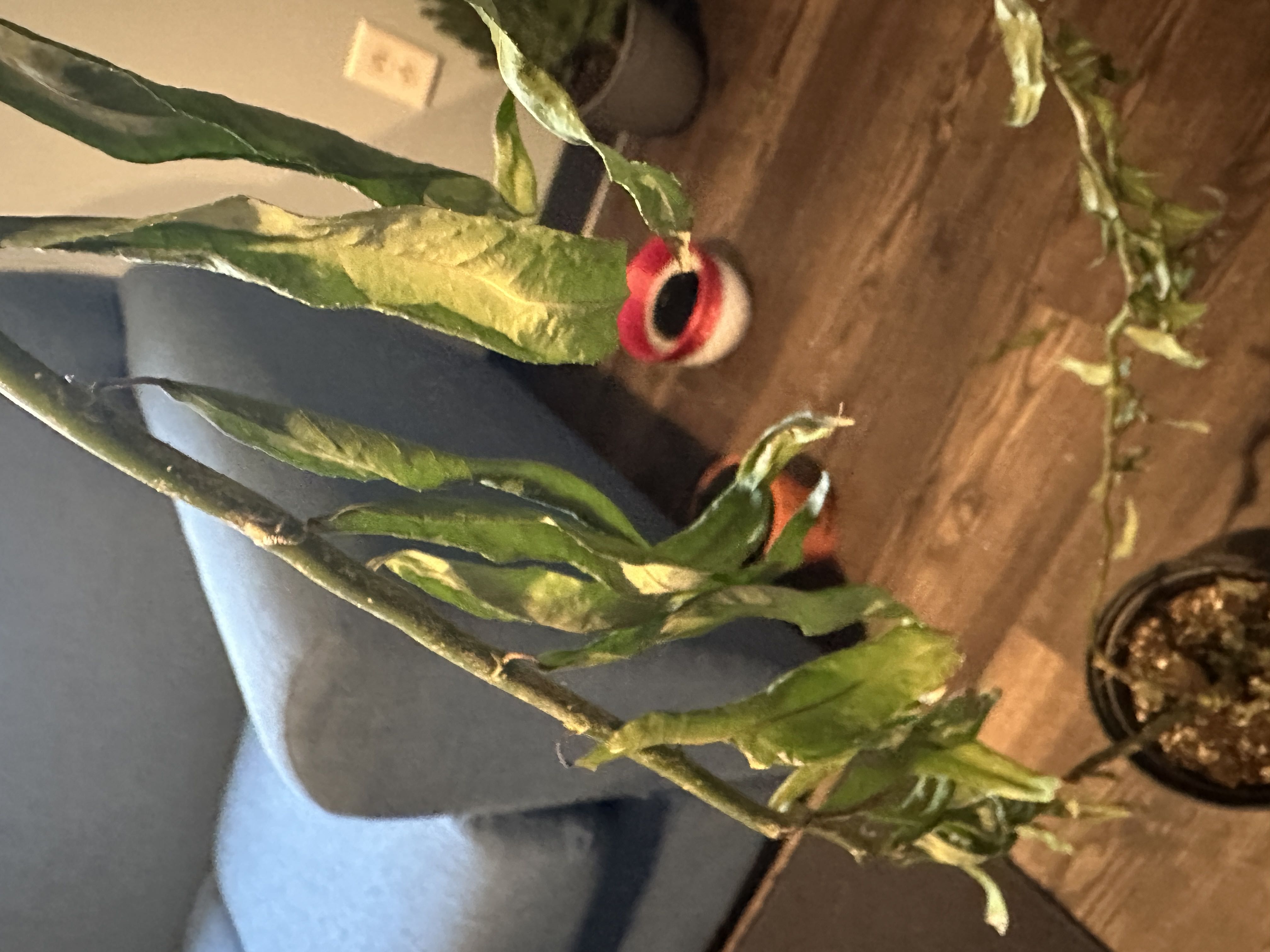 Photo from the post