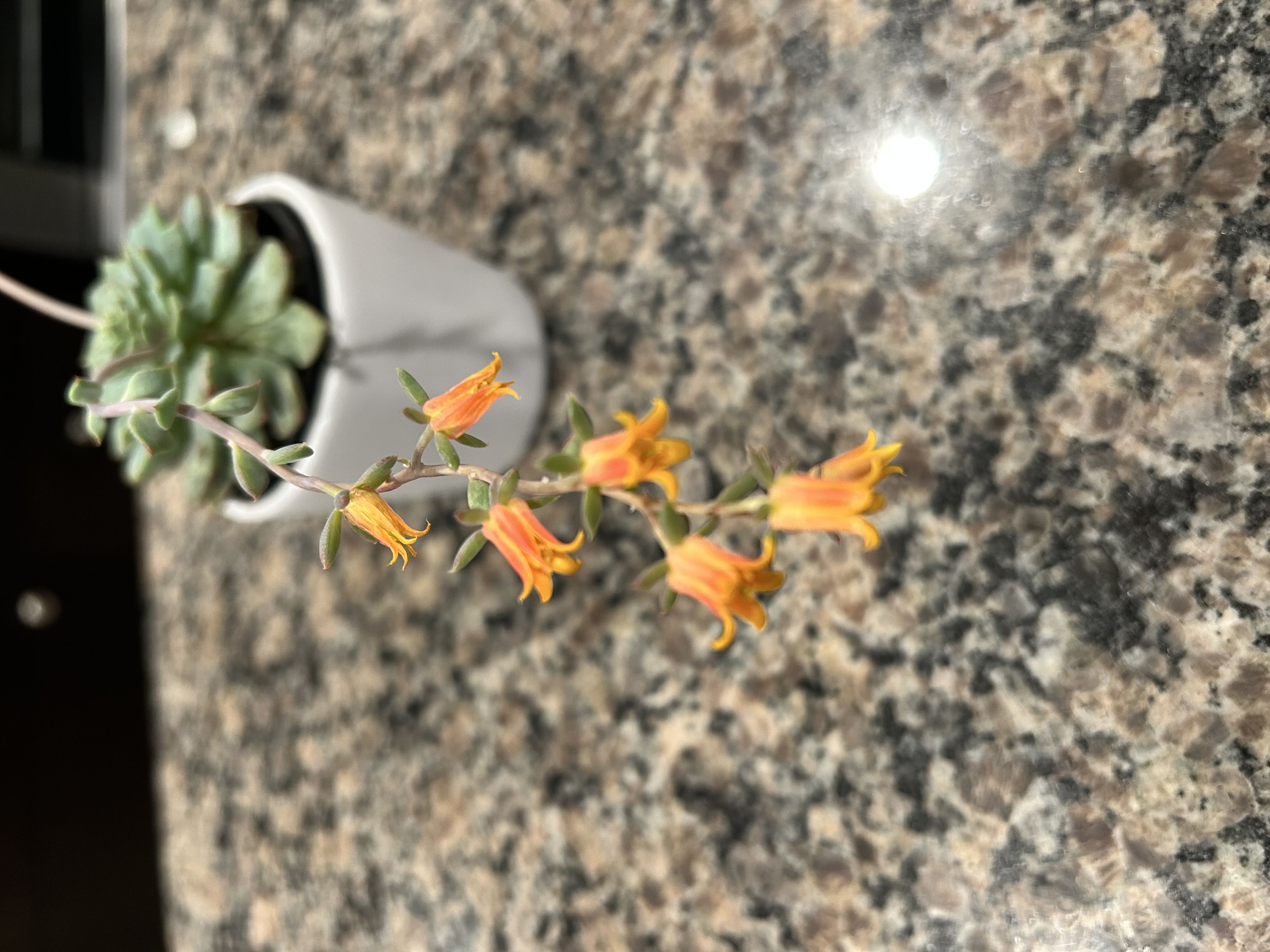 Photo from the post