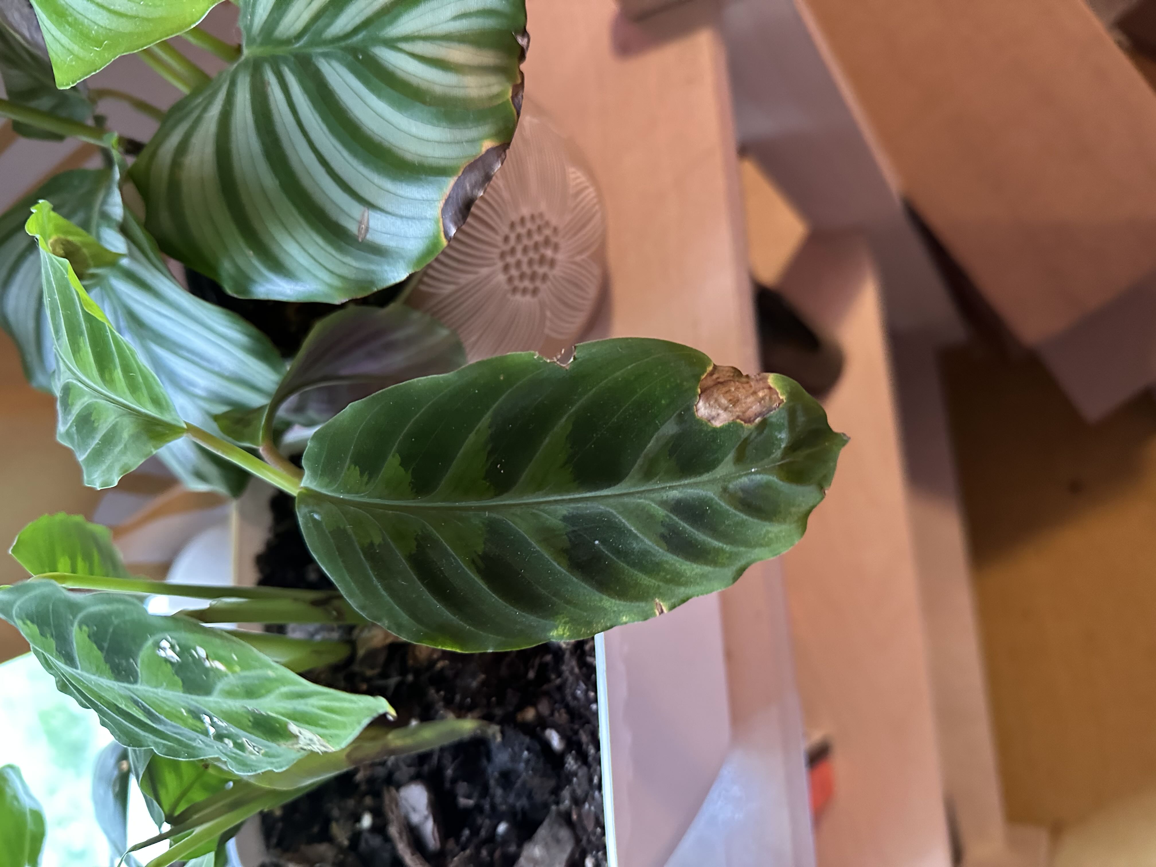 Photo from the post
