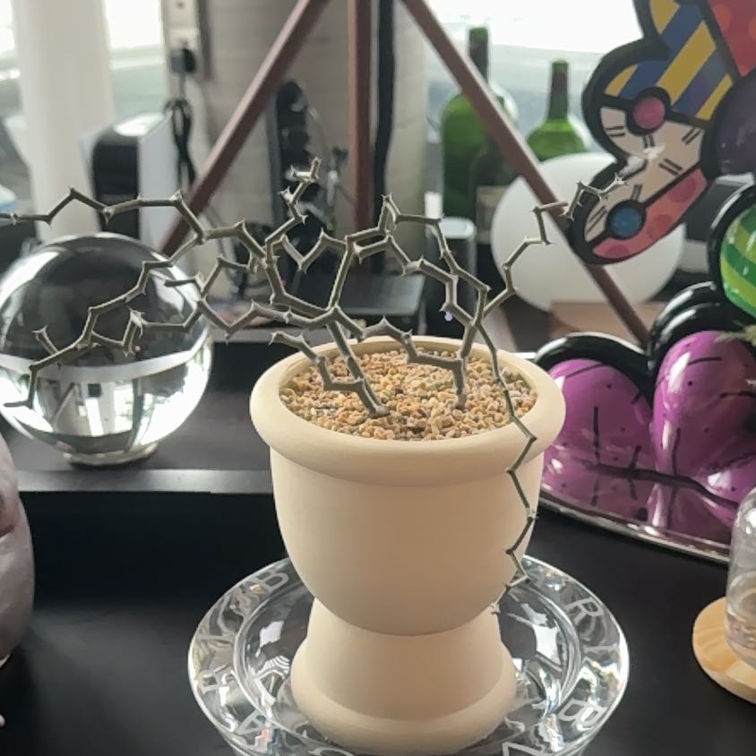 Photo of the plant species Zig Zag Plant by @RightlySourwood named Marley on Greg, the plant care app