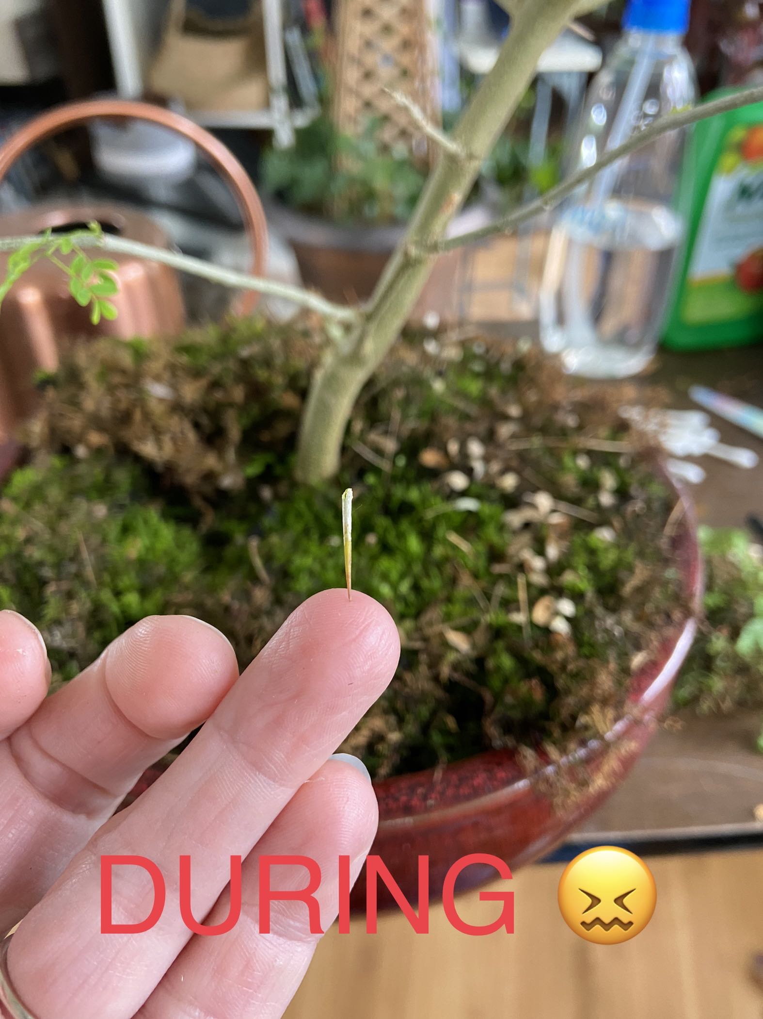 Photo from the post