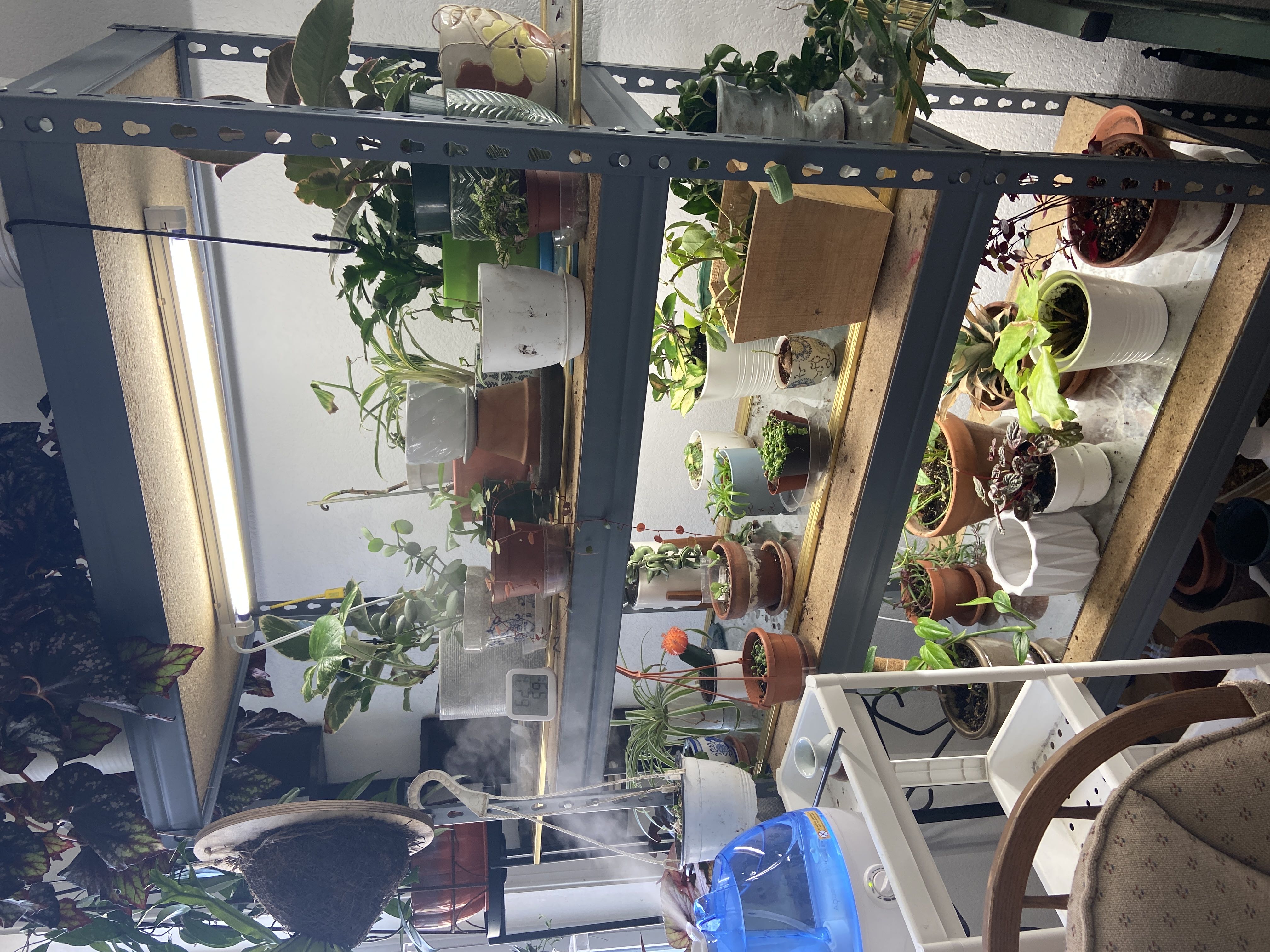 Photo from the post