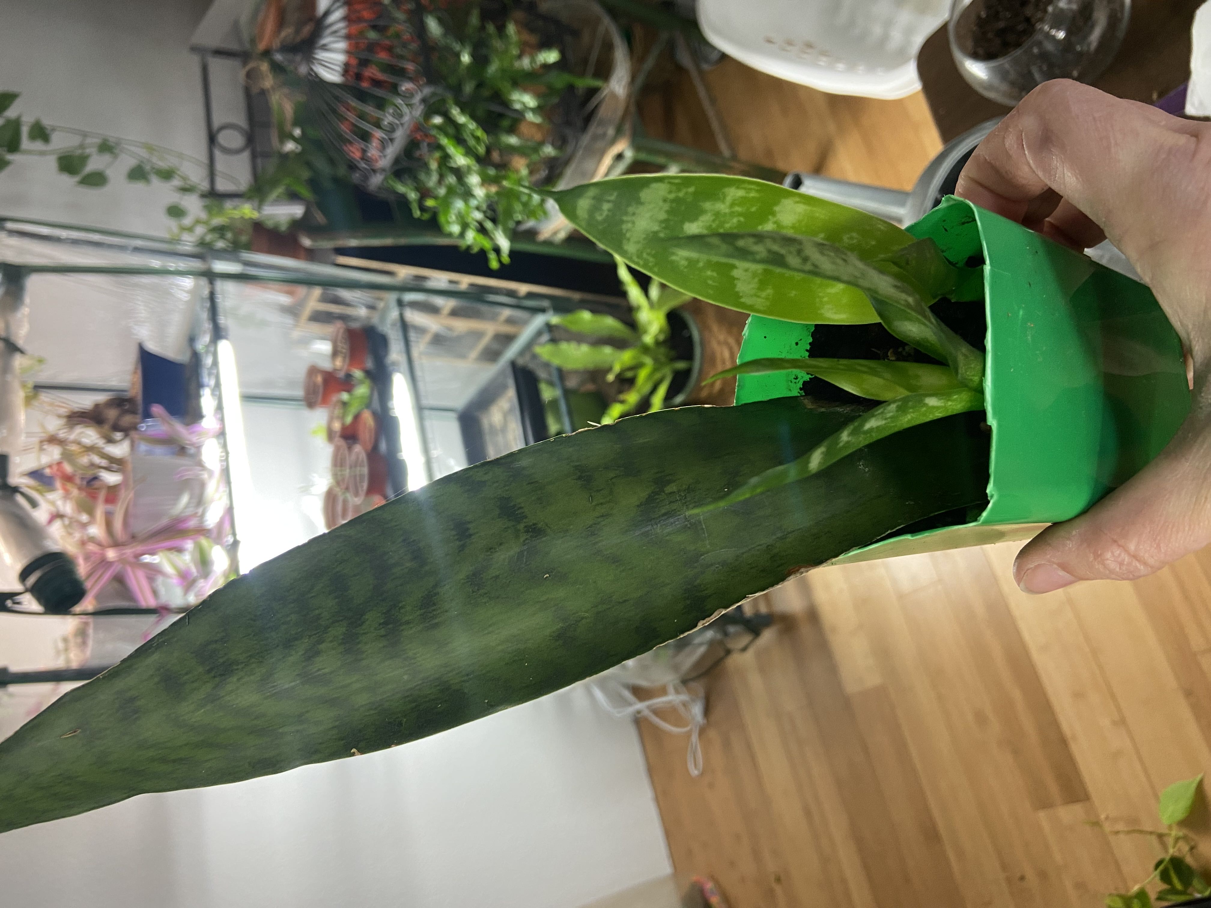 Photo from the post
