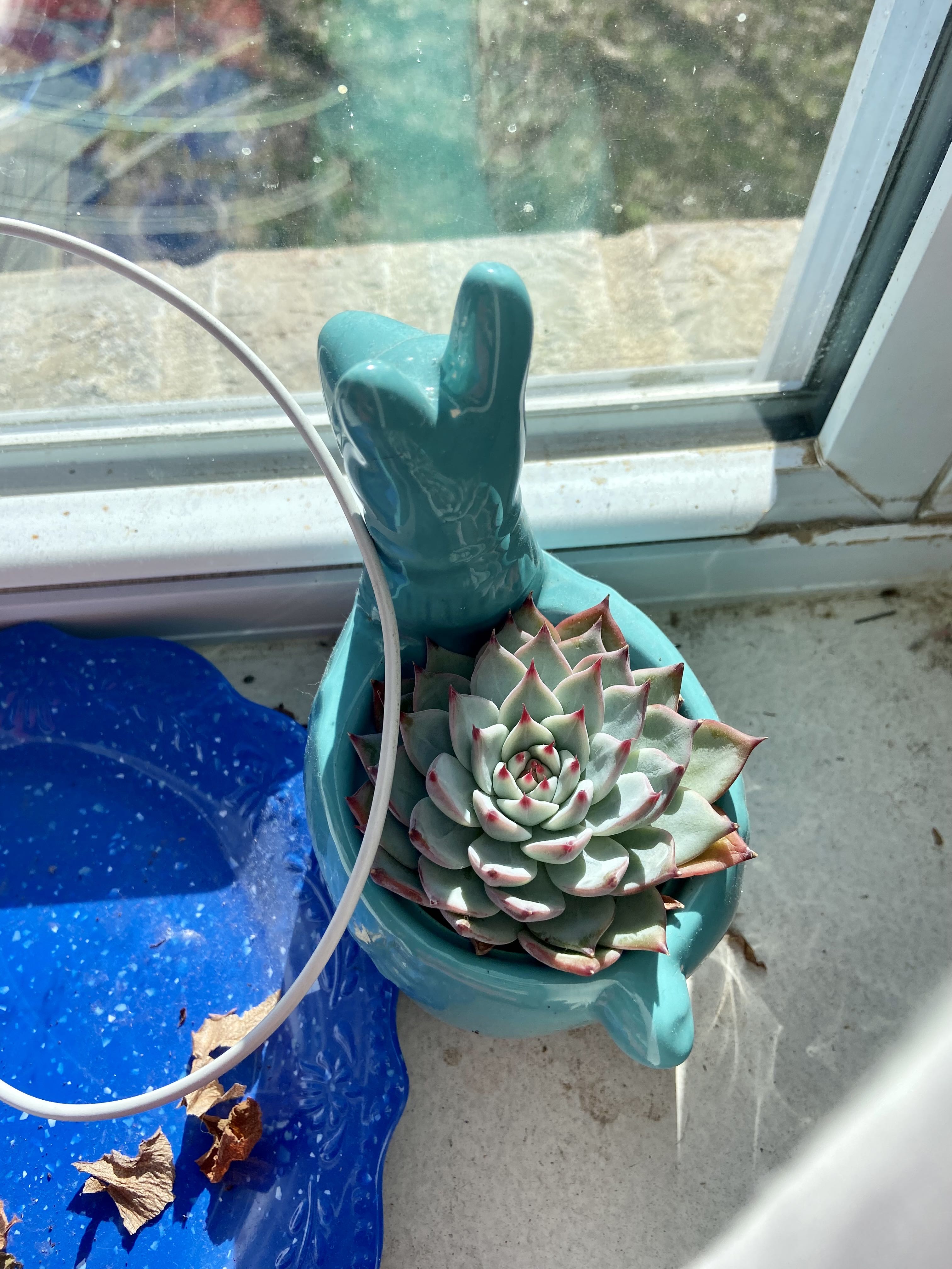 Photo from the post