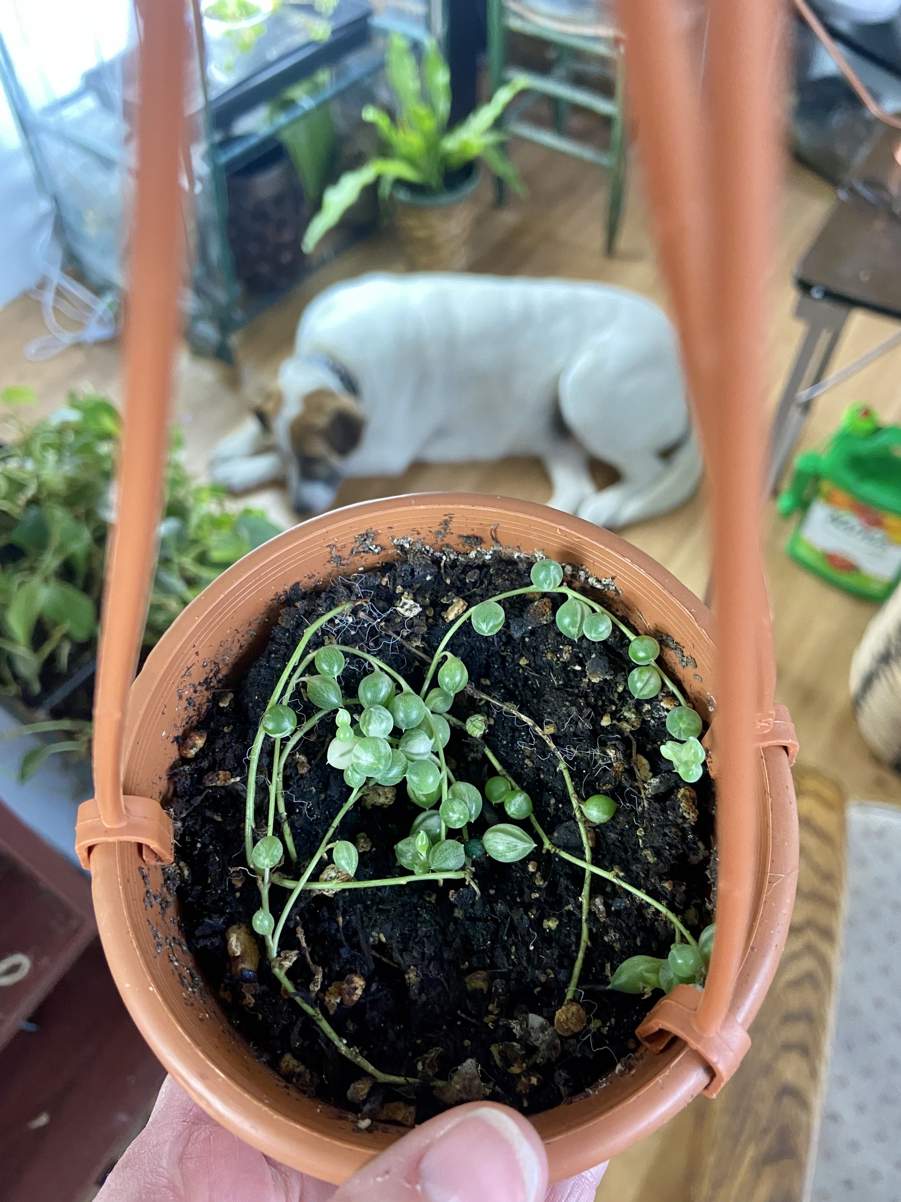 Photo from the post