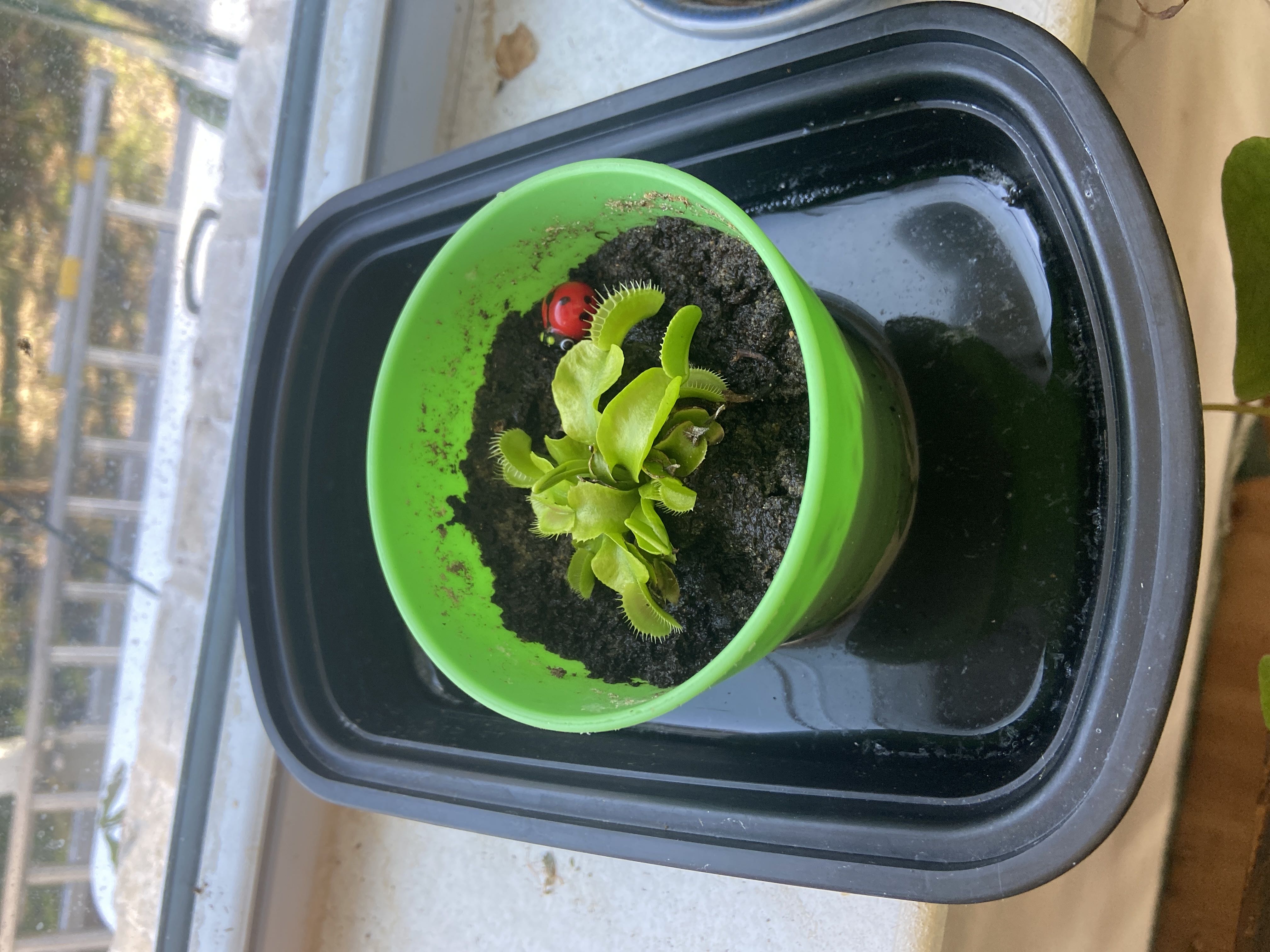 Photo from the post