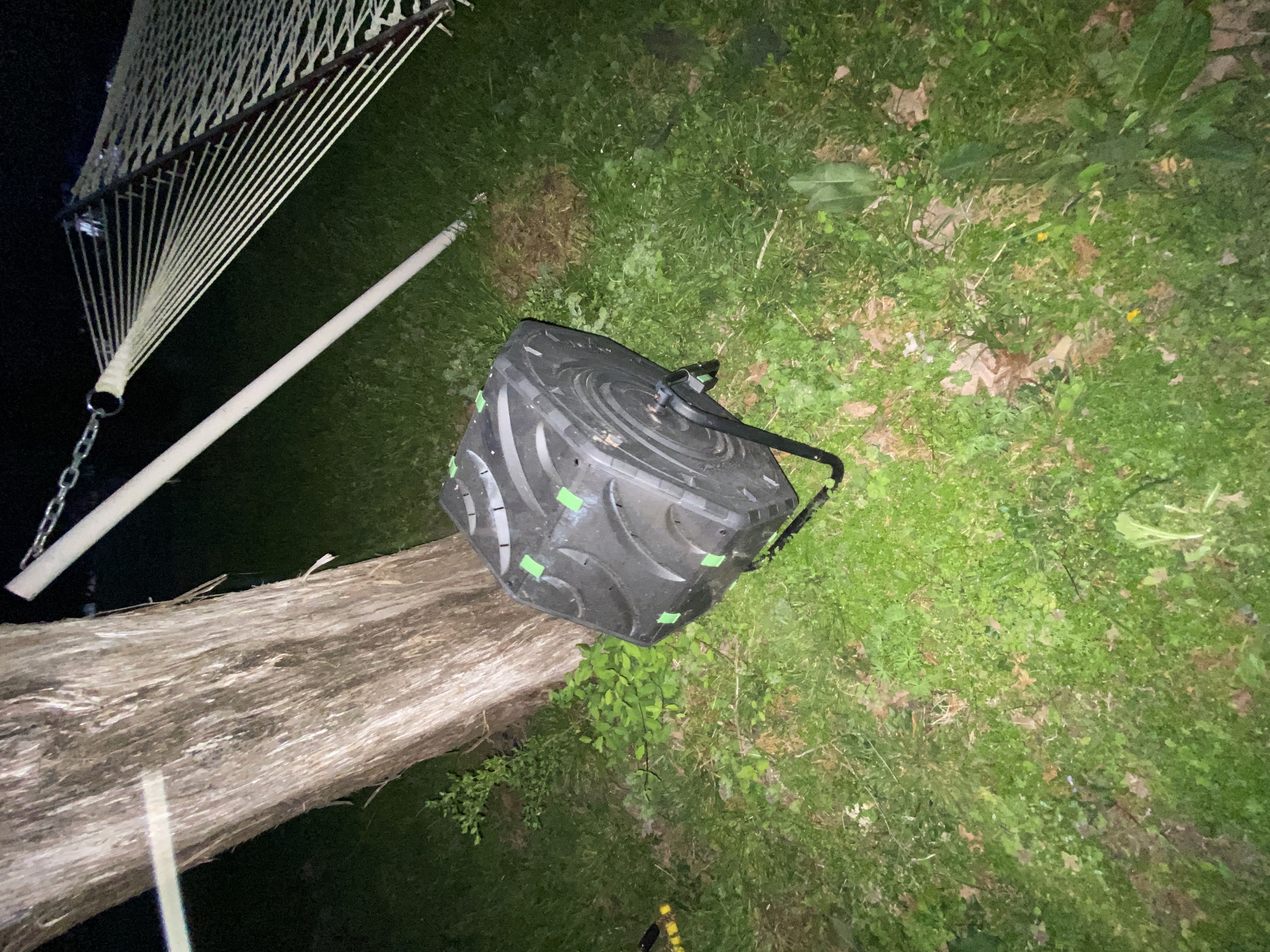 Photo from the post