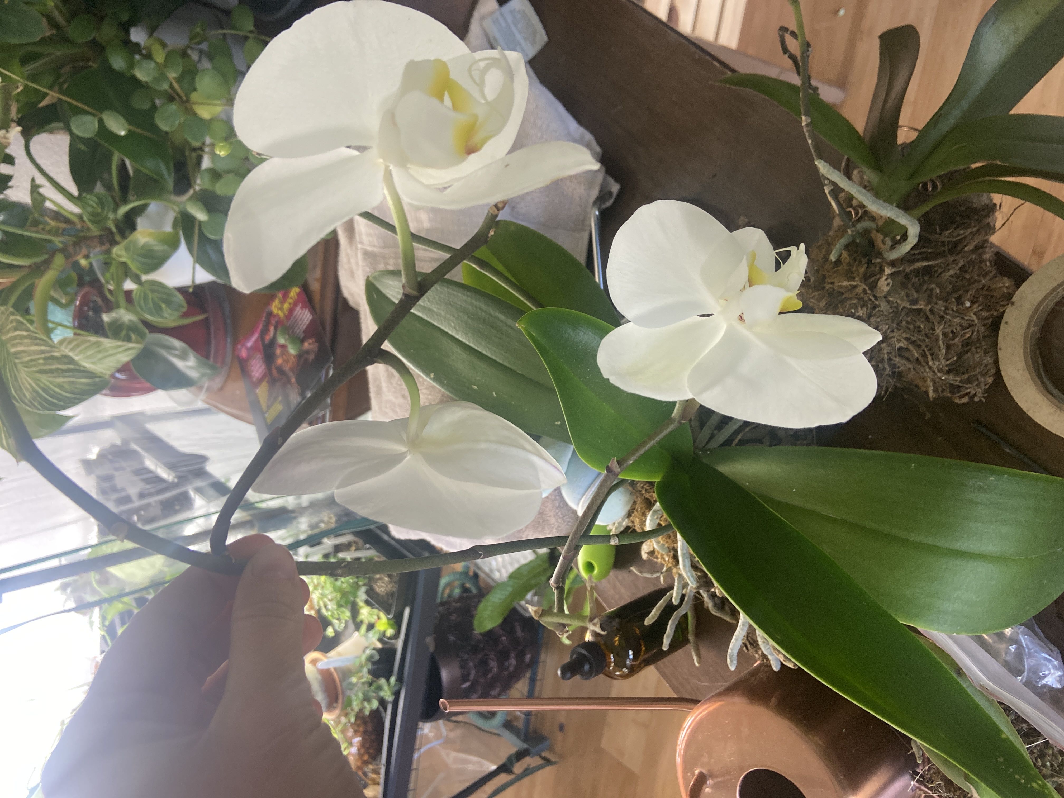 Photo from the post