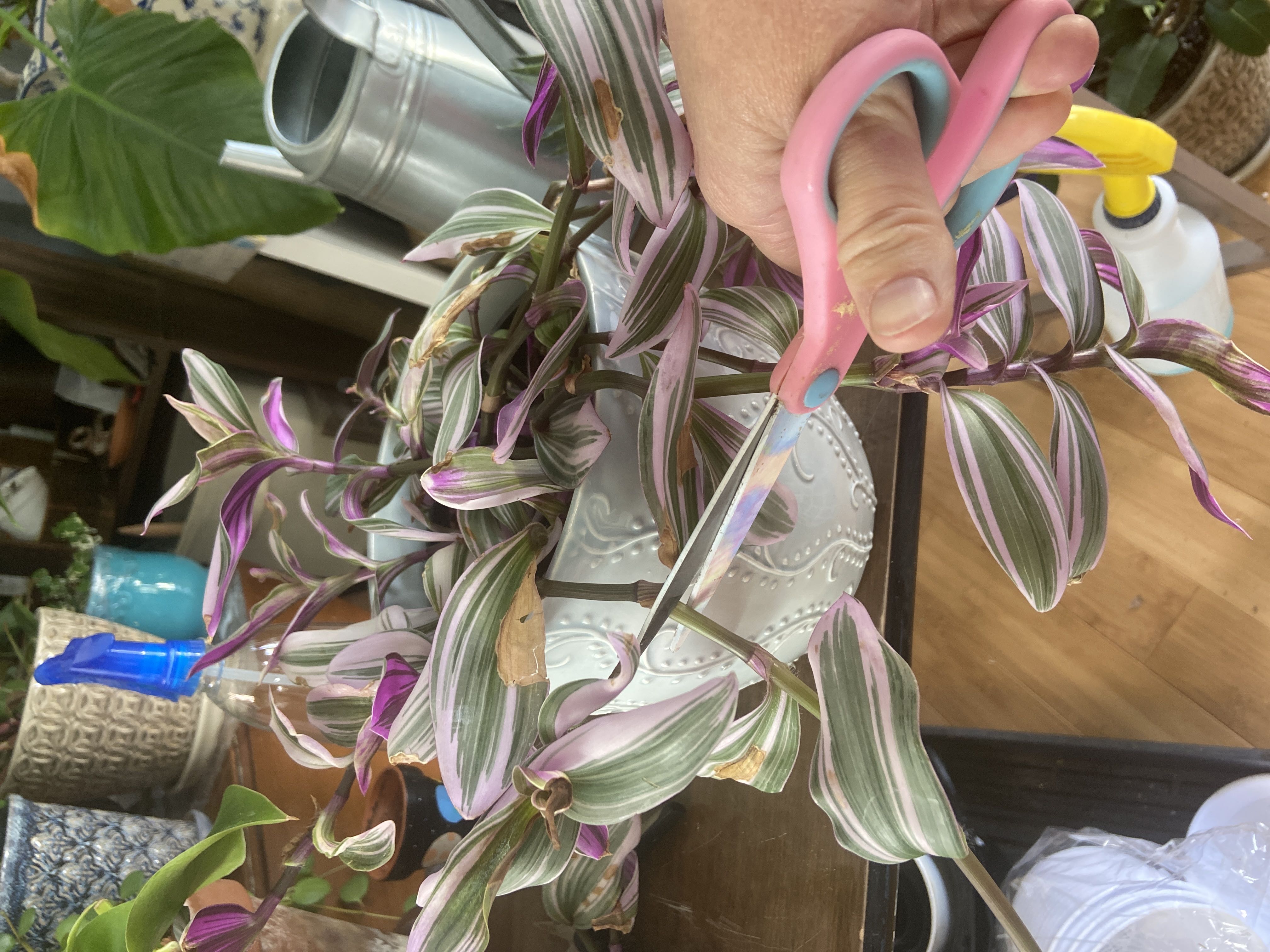 Photo from the post
