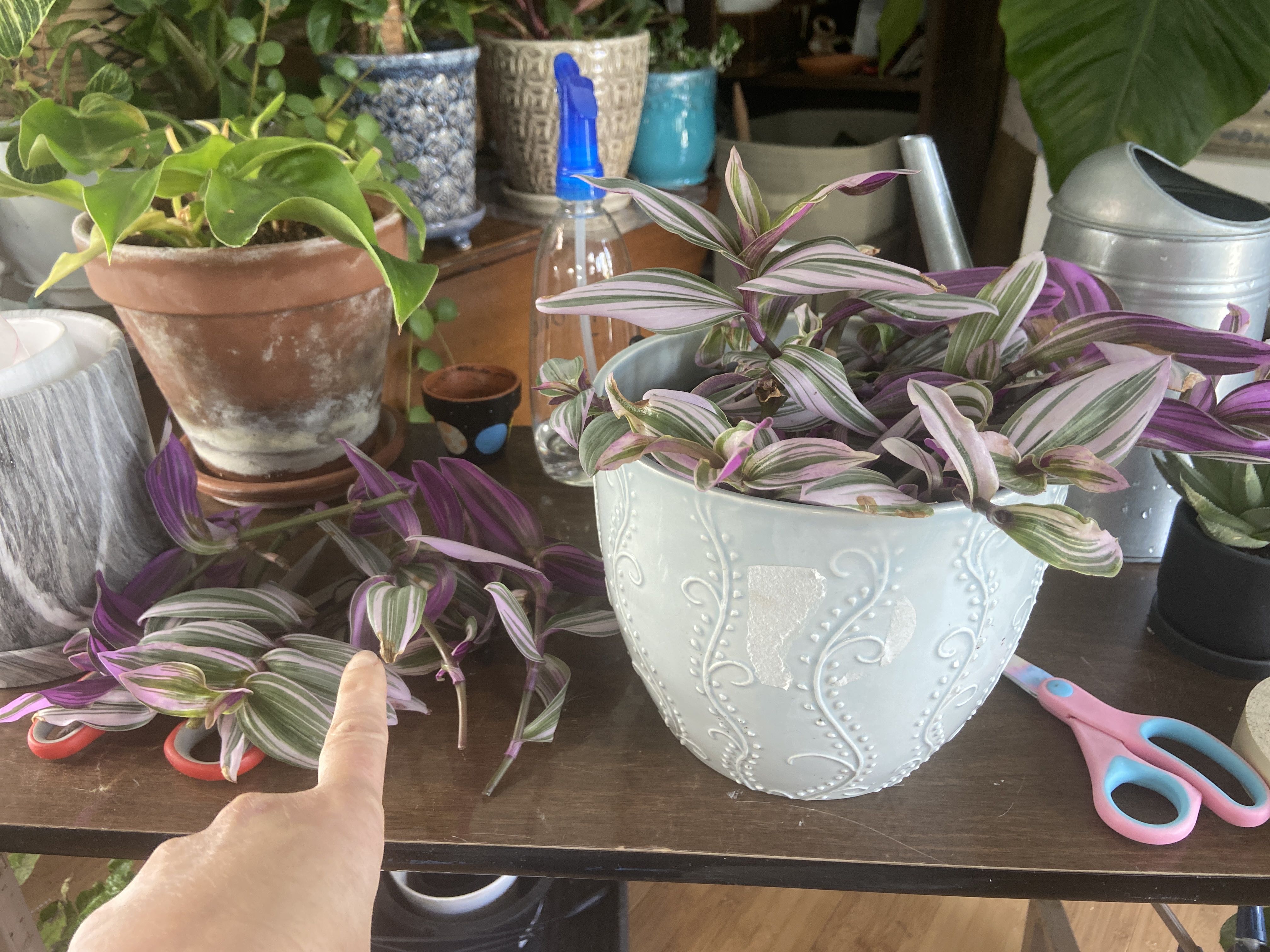 Photo from the post
