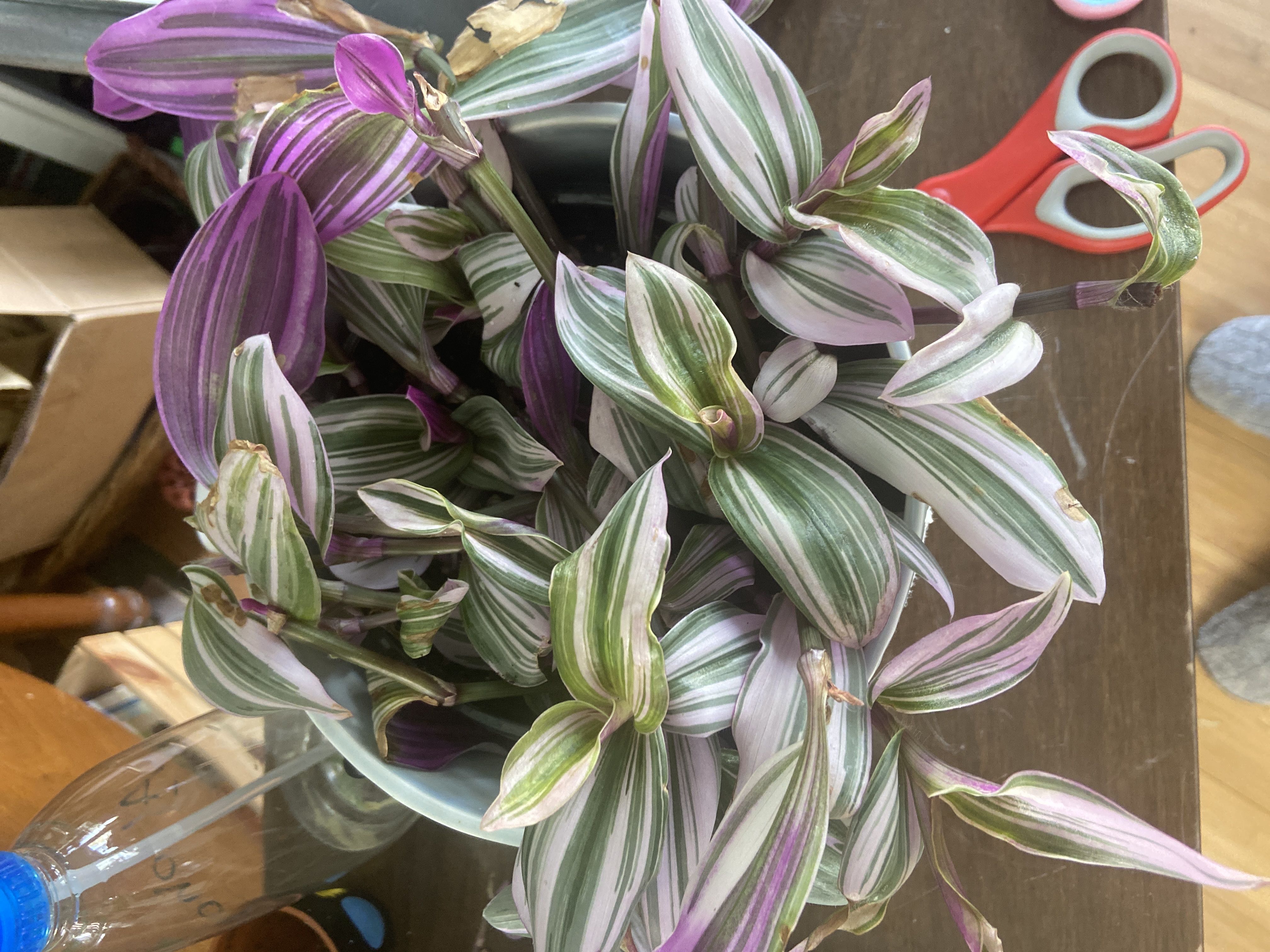 Photo from the post
