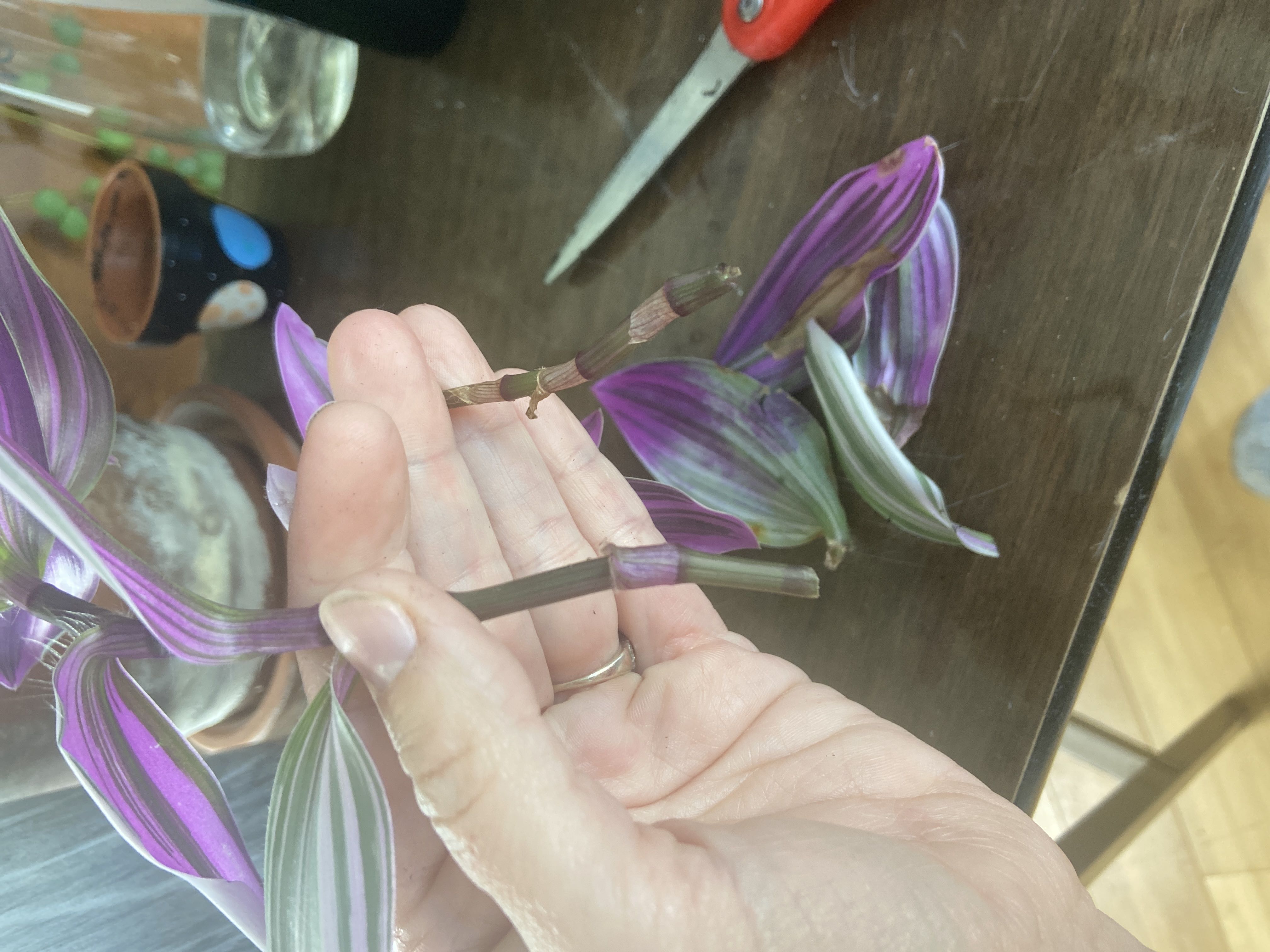 Photo from the post
