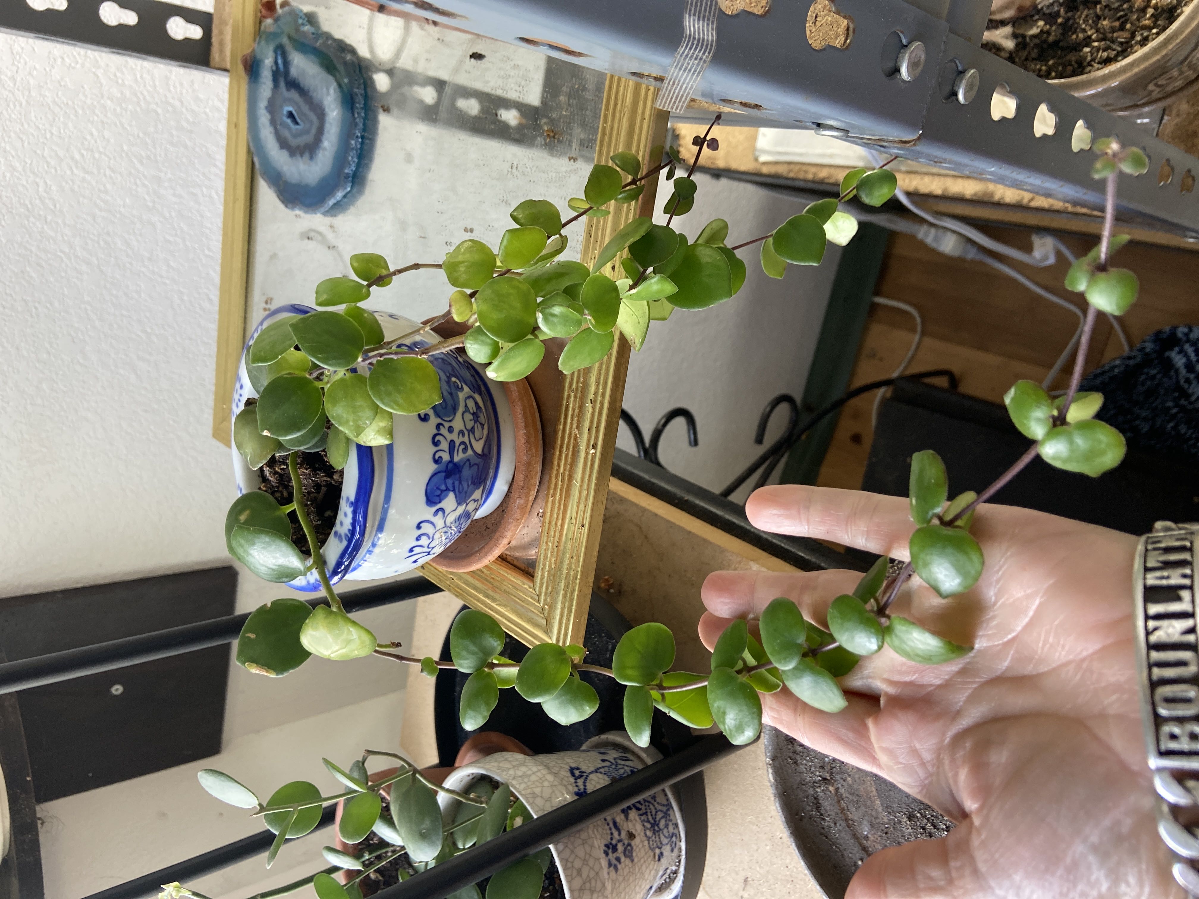 Photo from the post