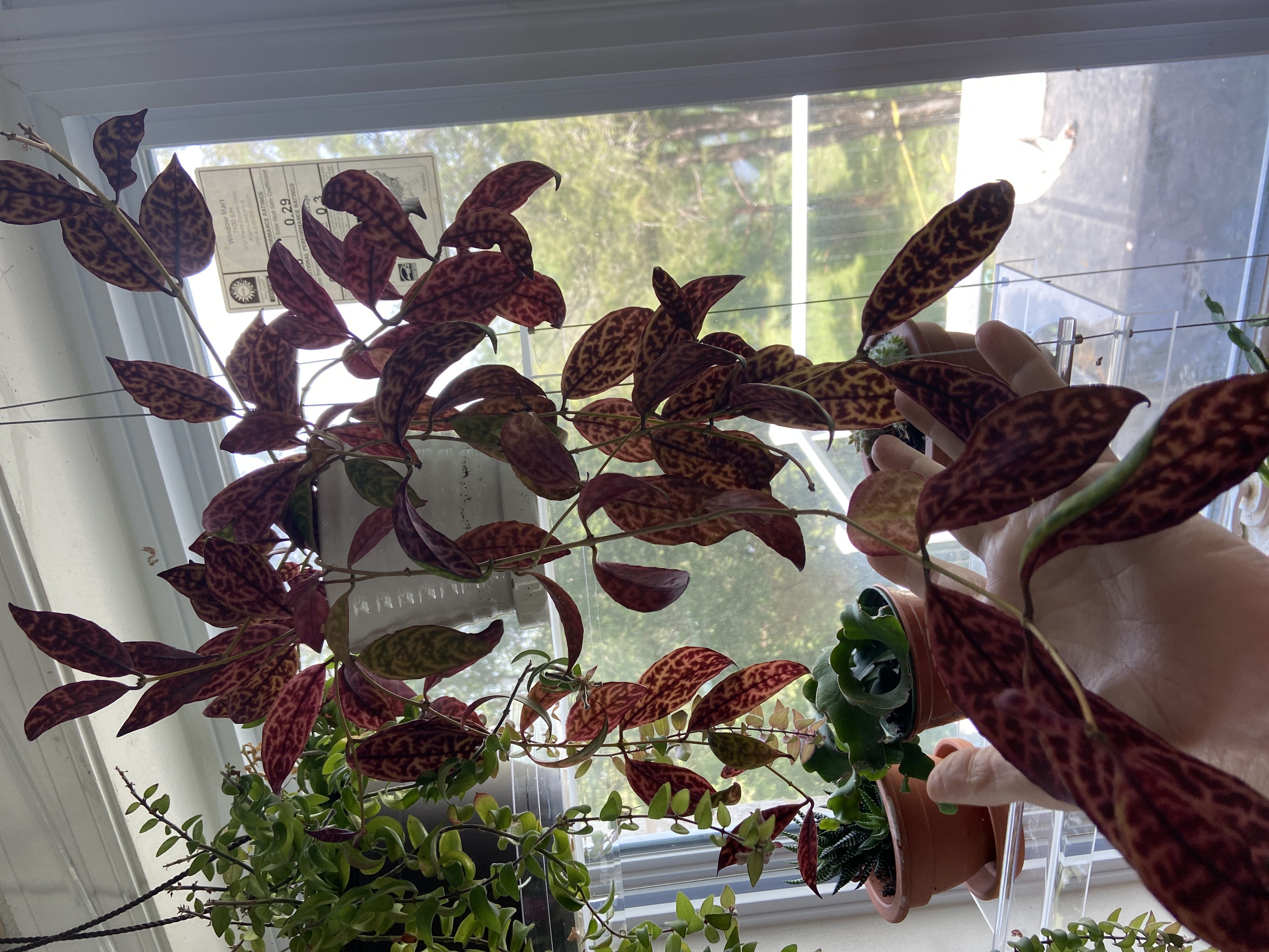 Photo from the post