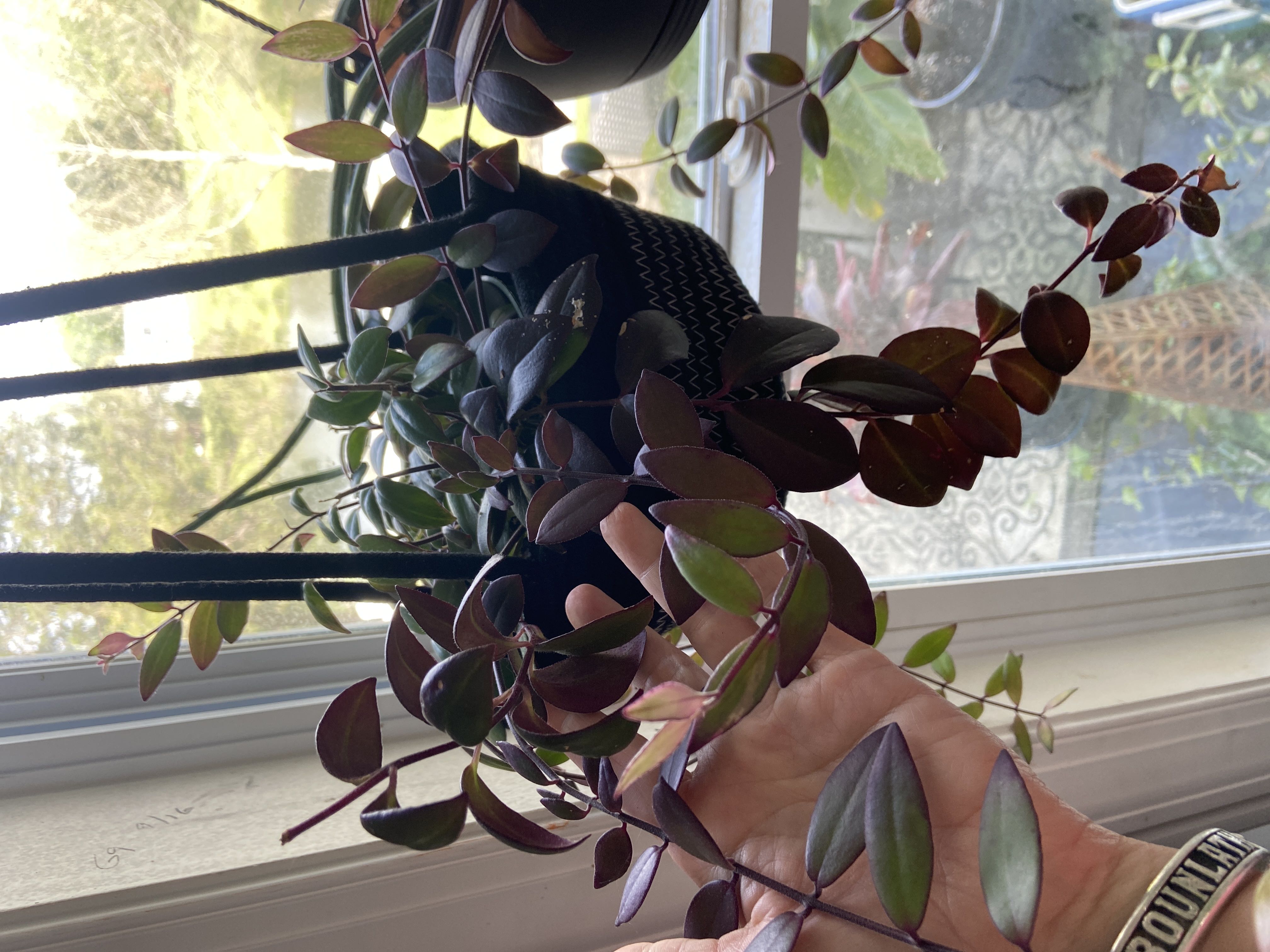 Photo from the post