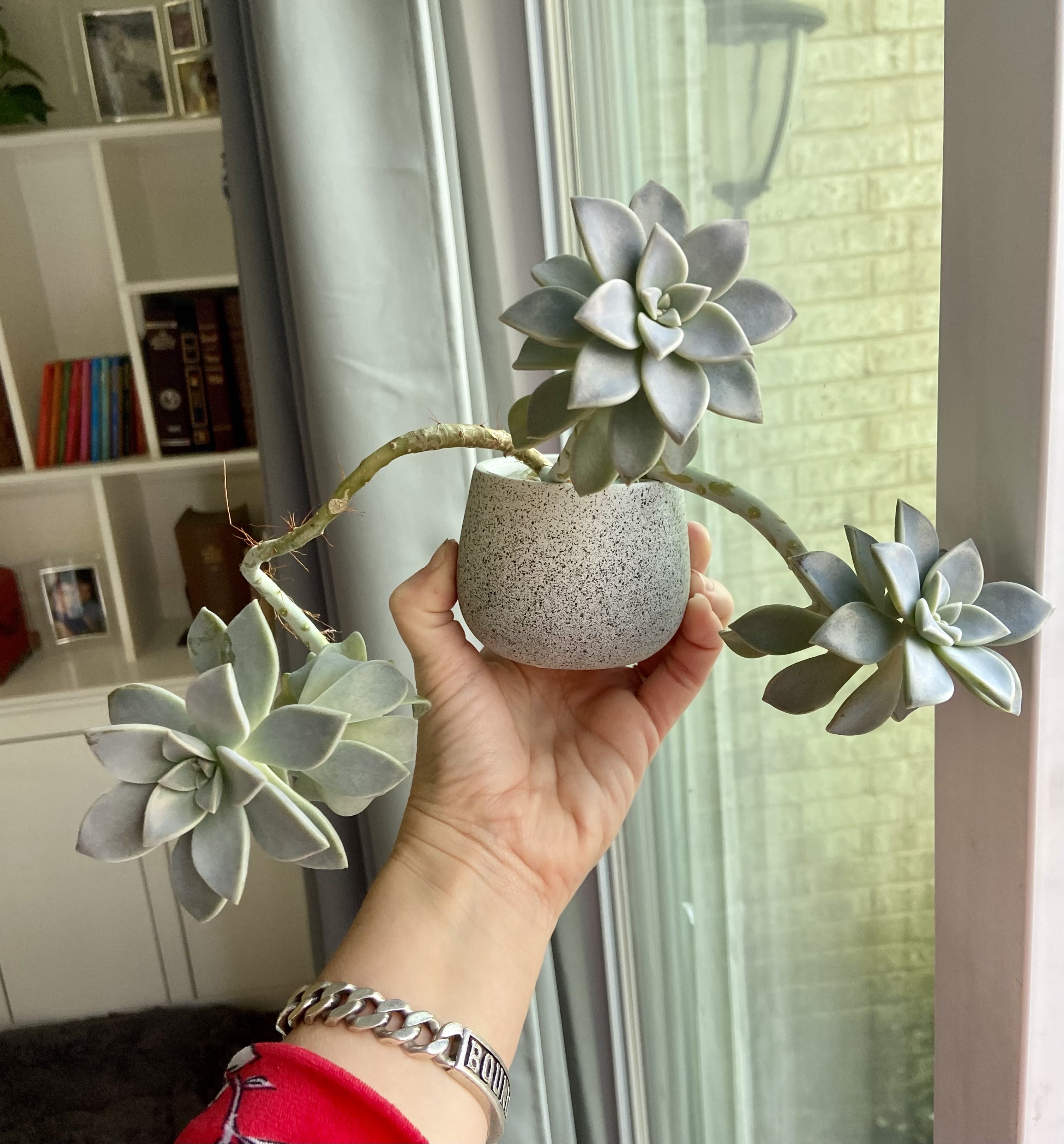 Photo from the post