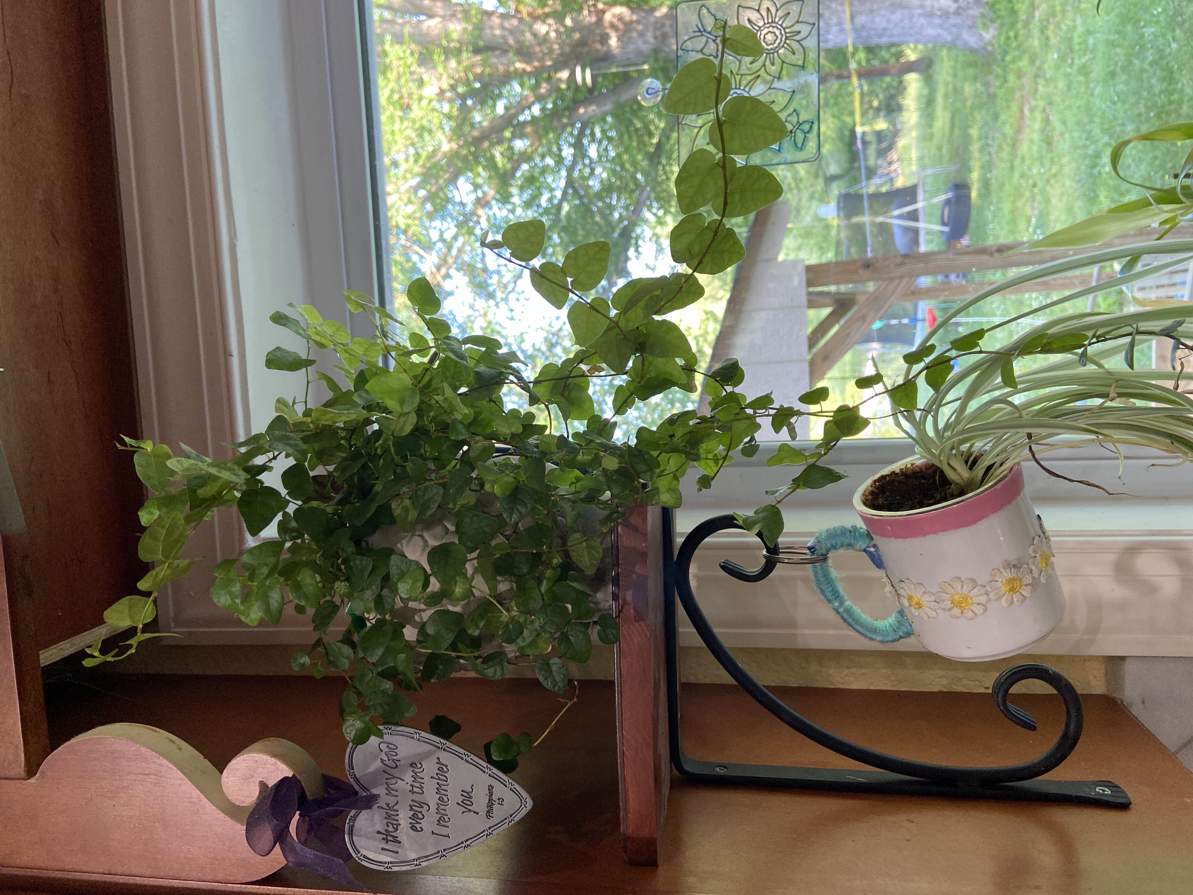 Photo from the post