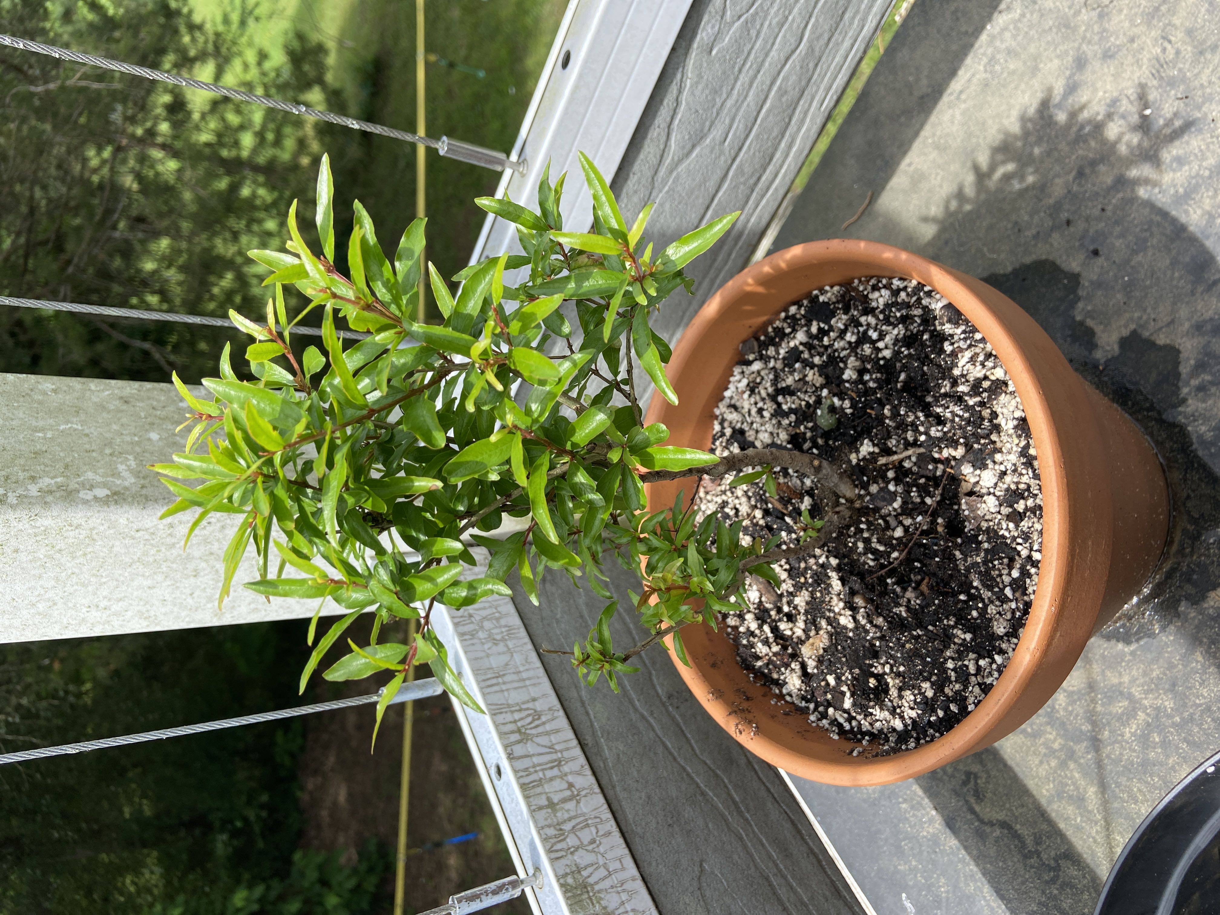 Photo from the post