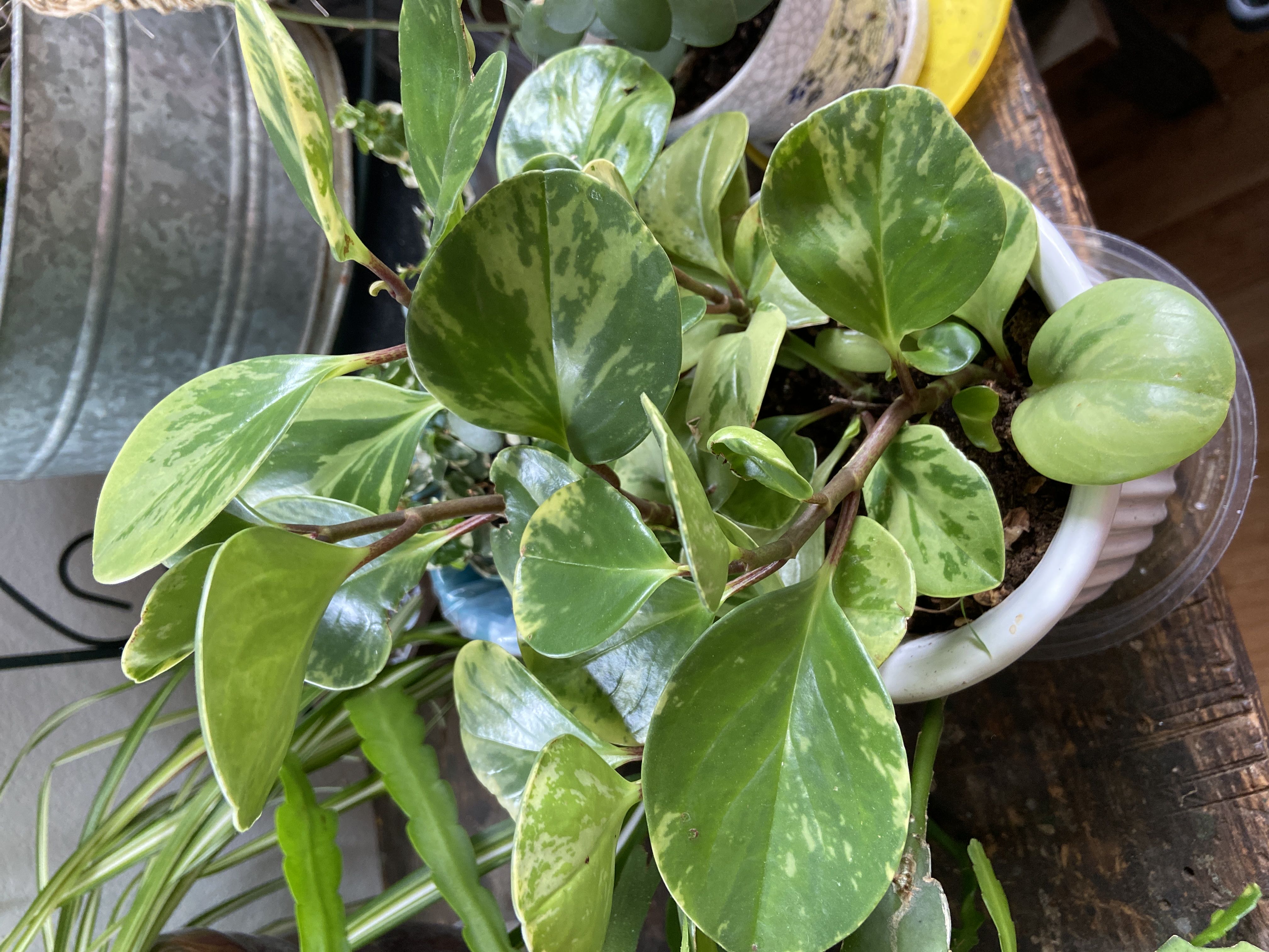 Photo from the post