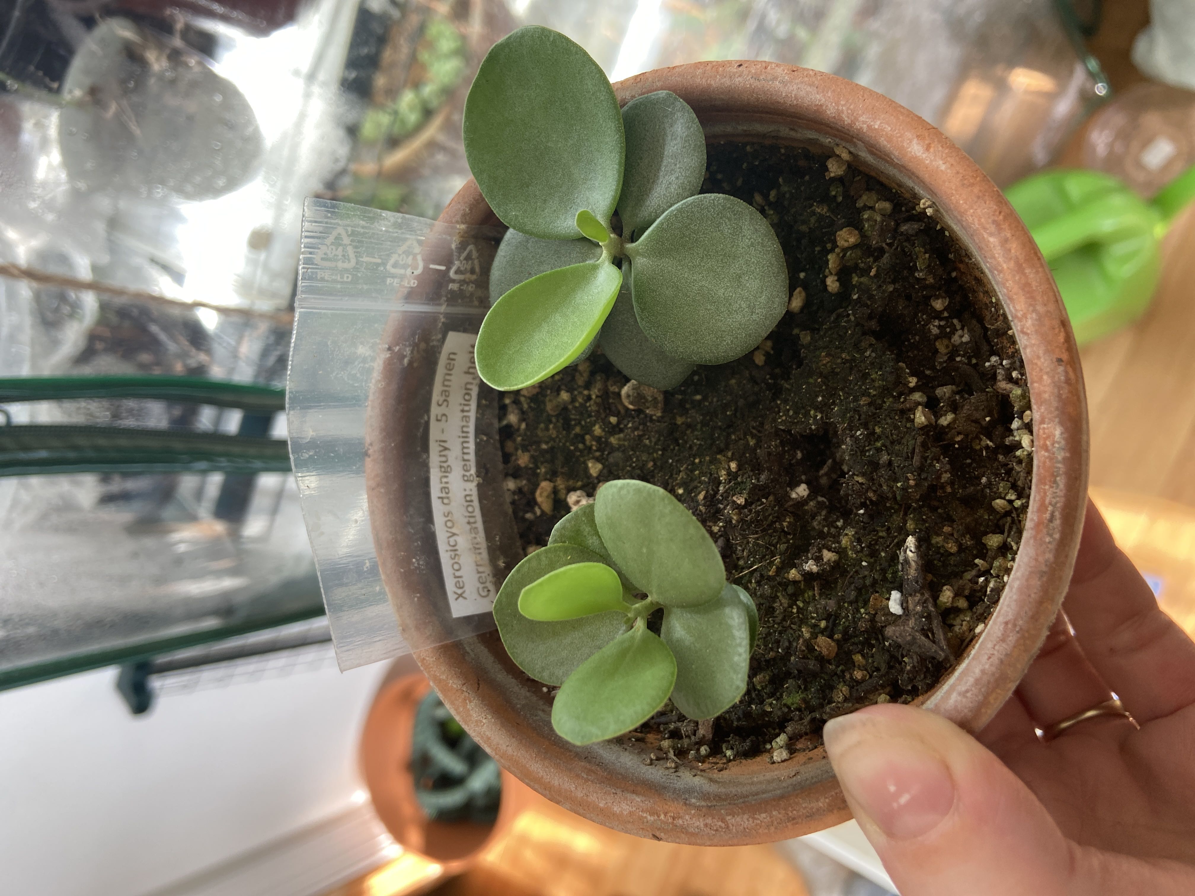 Photo from the post