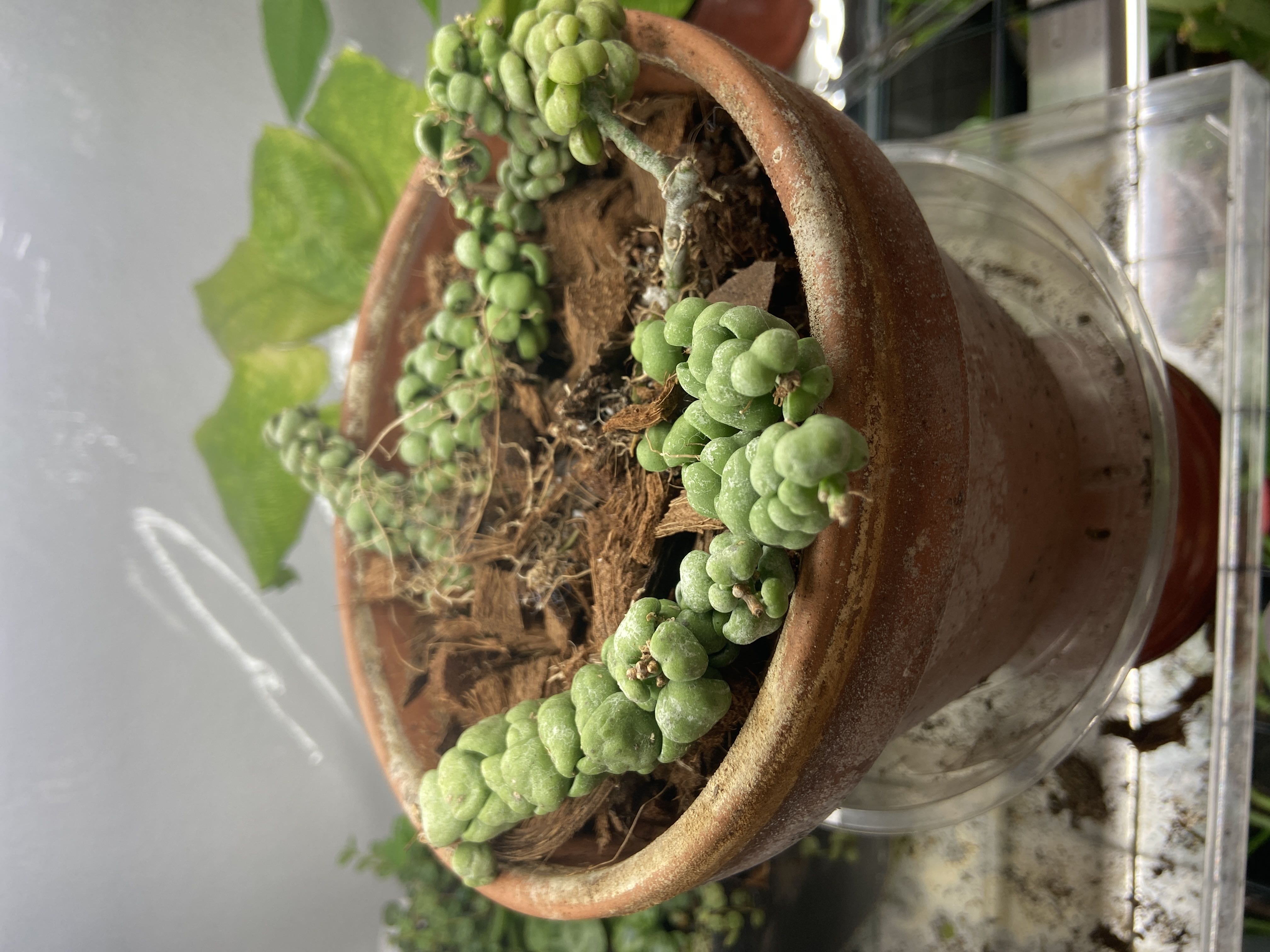 Photo from the post