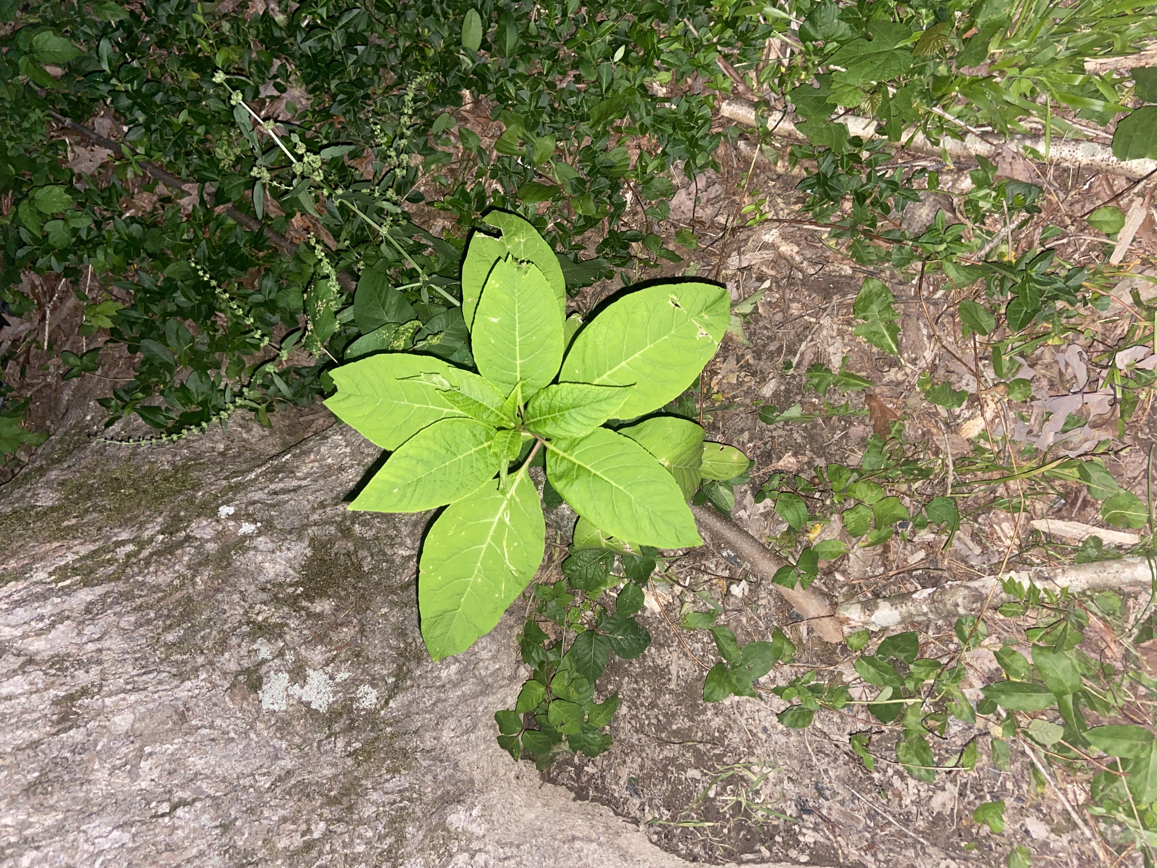 Photo from the post