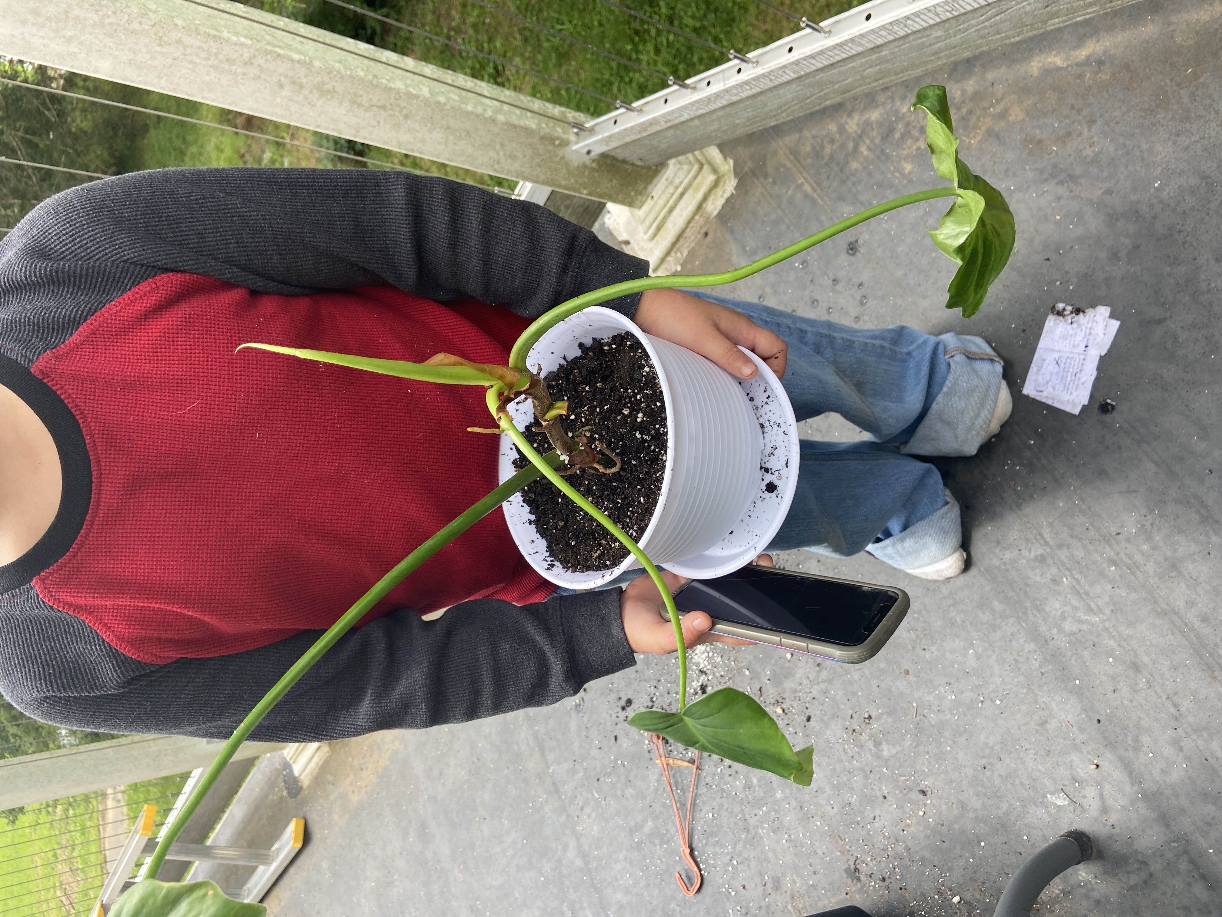 Photo from the post