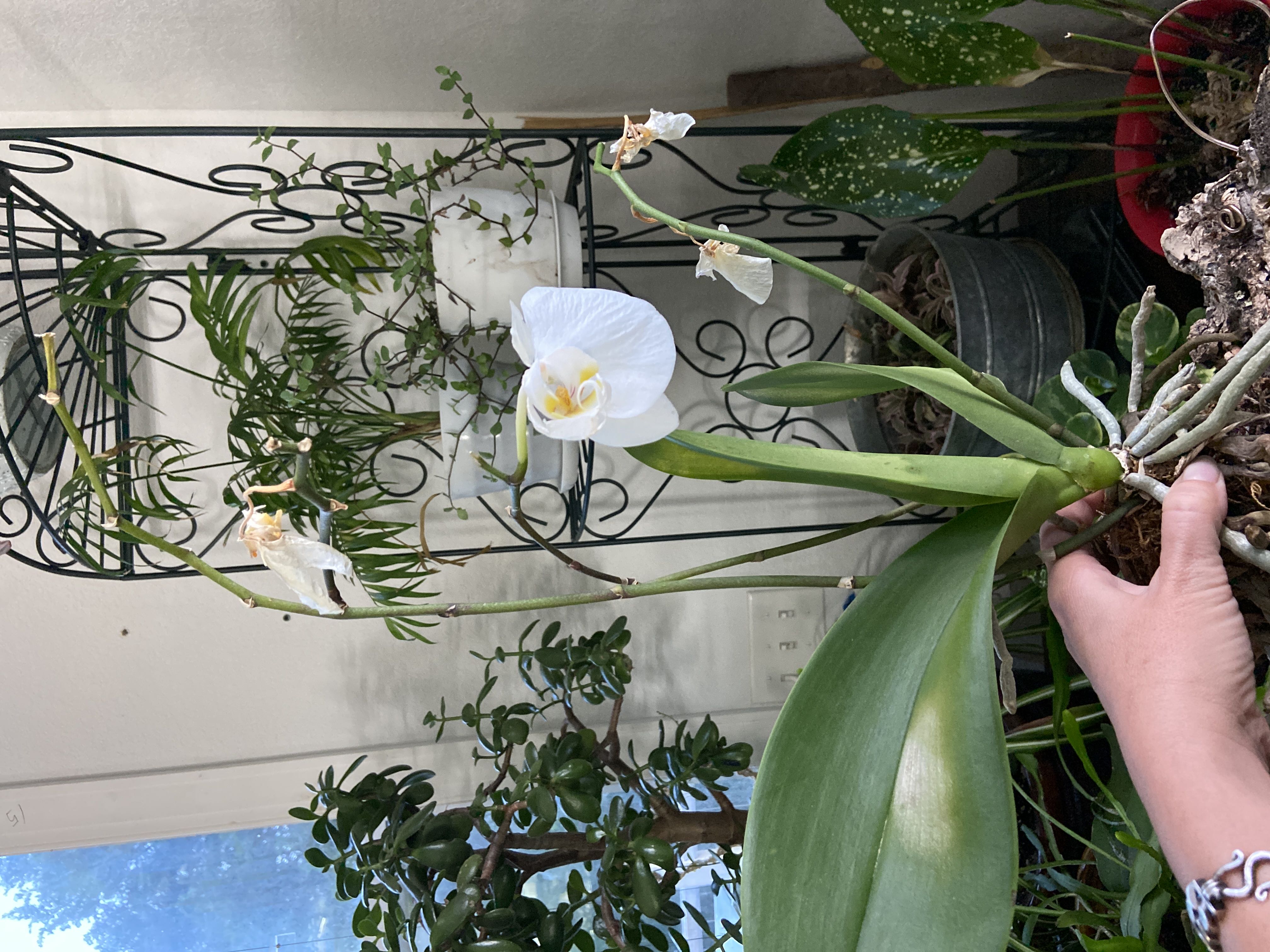 Photo from the post
