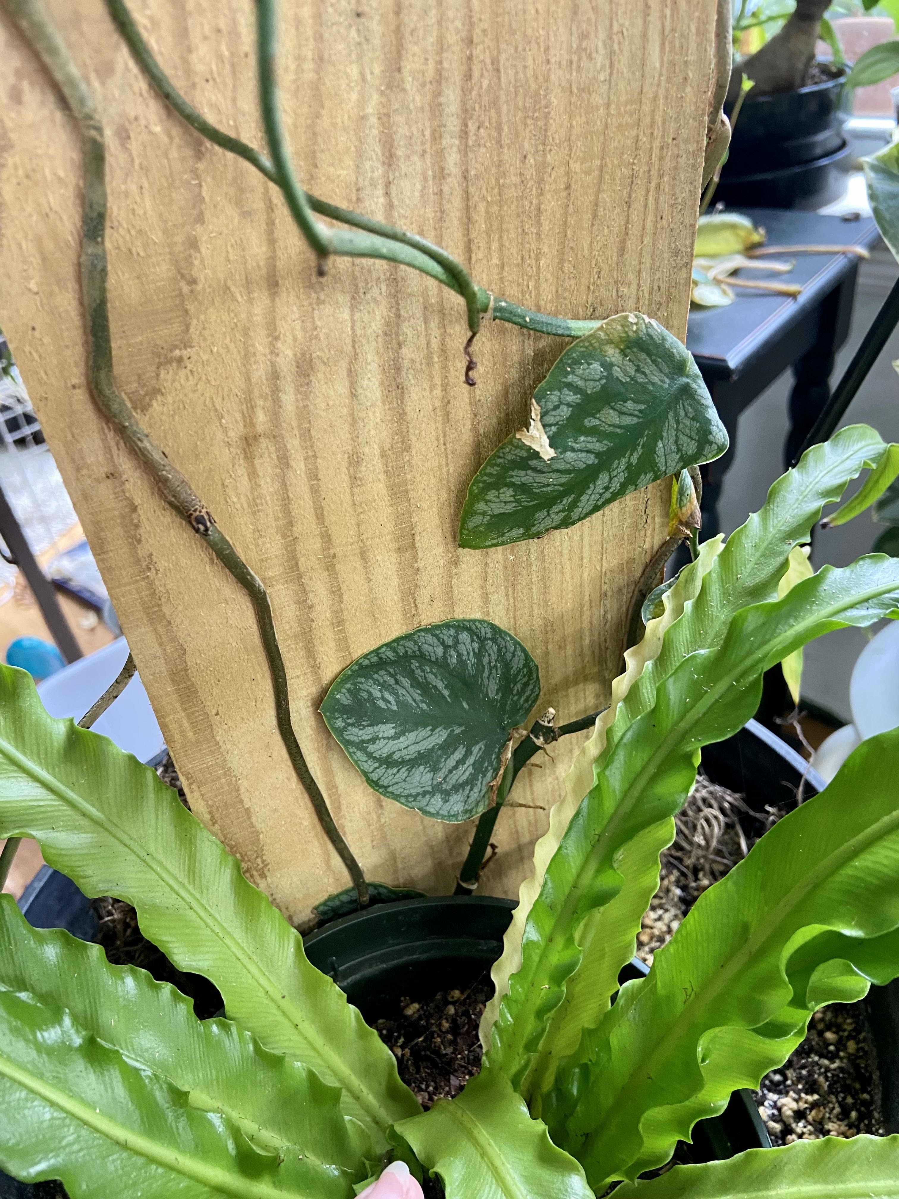 Photo from the post