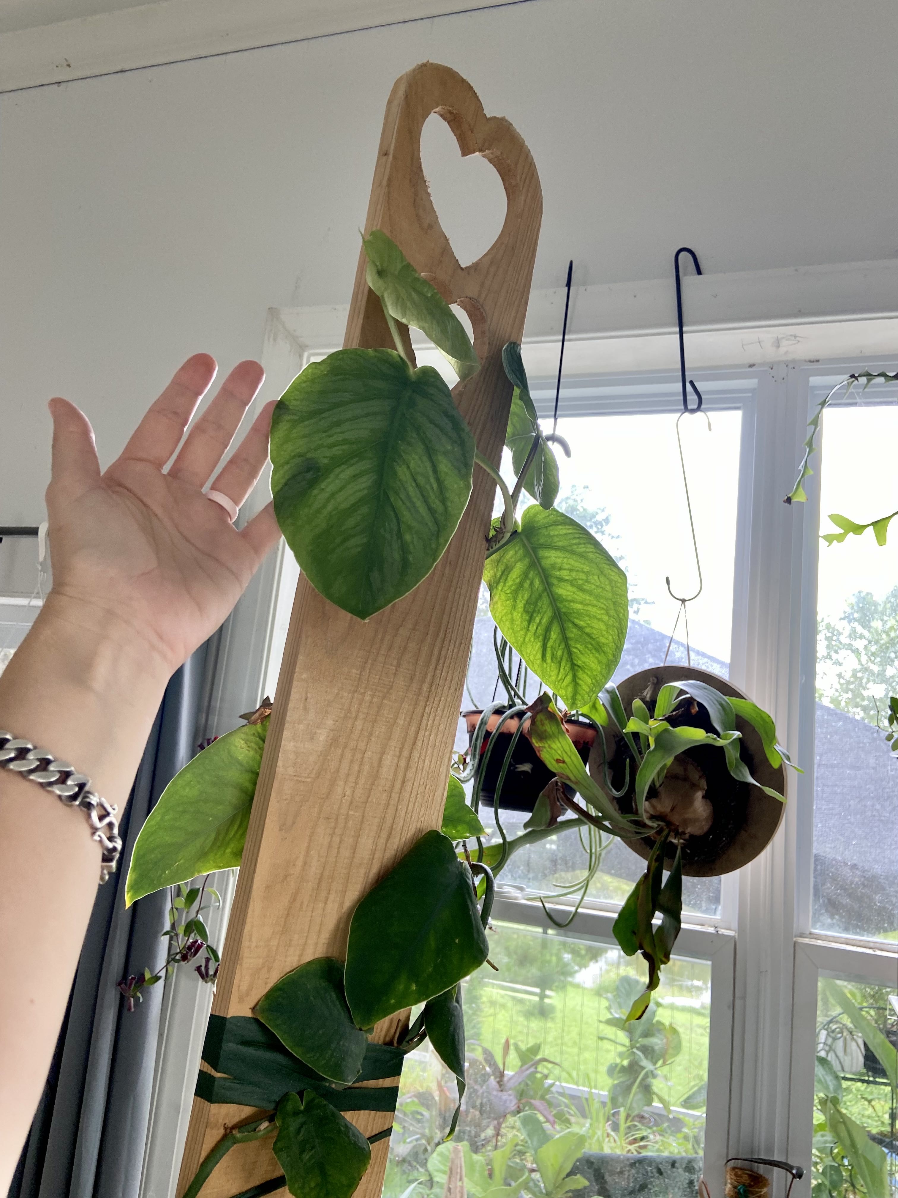 Photo from the post