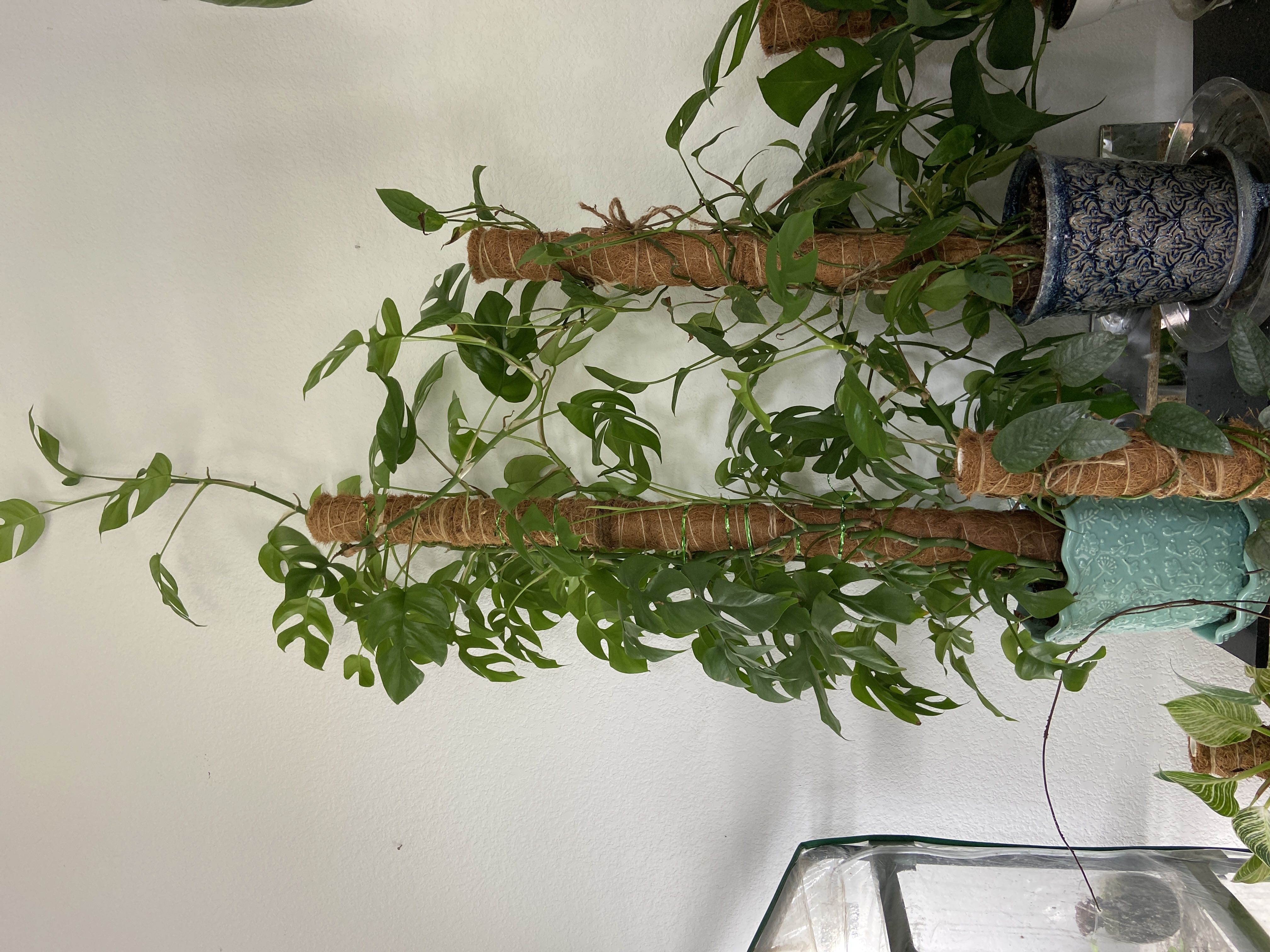 Photo from the post