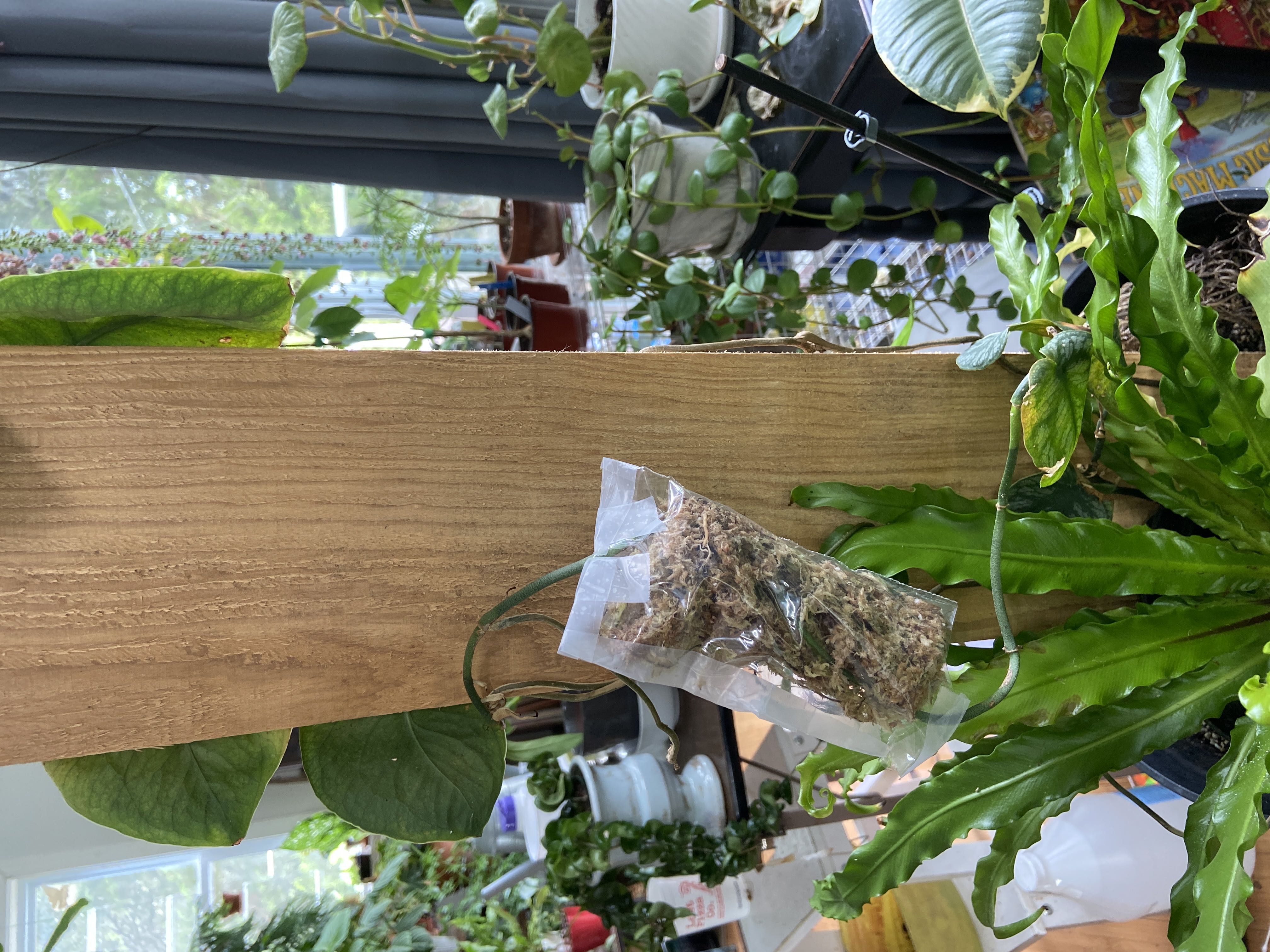Photo from the post